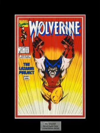 Lithocel Definition and Art Gallery Collection