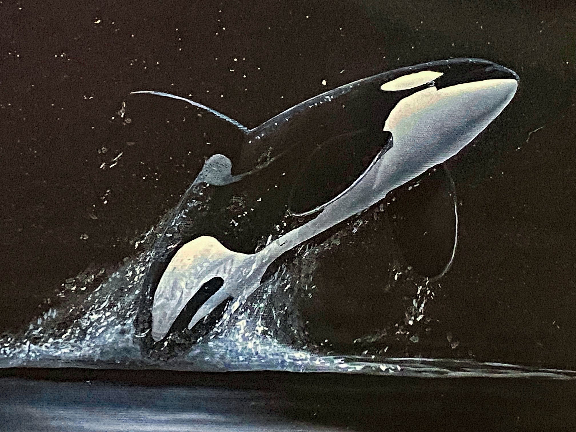 Orcas Starry Night Wyland Lithograph Print Artist Hand Signed and Numbered