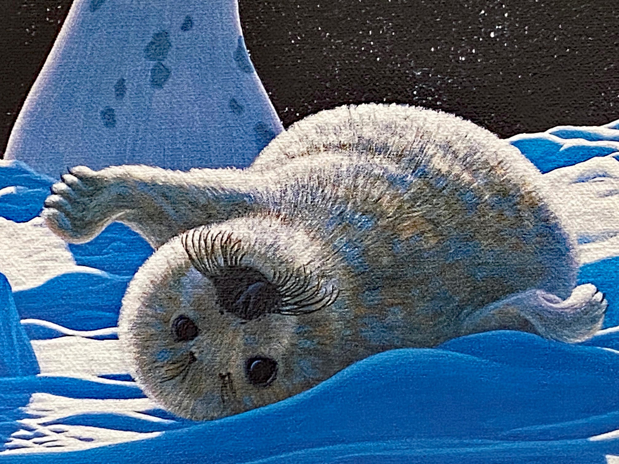 Arctic Dream William Schimmel Canvas Giclée Print Artist Hand Signed and Numbered
