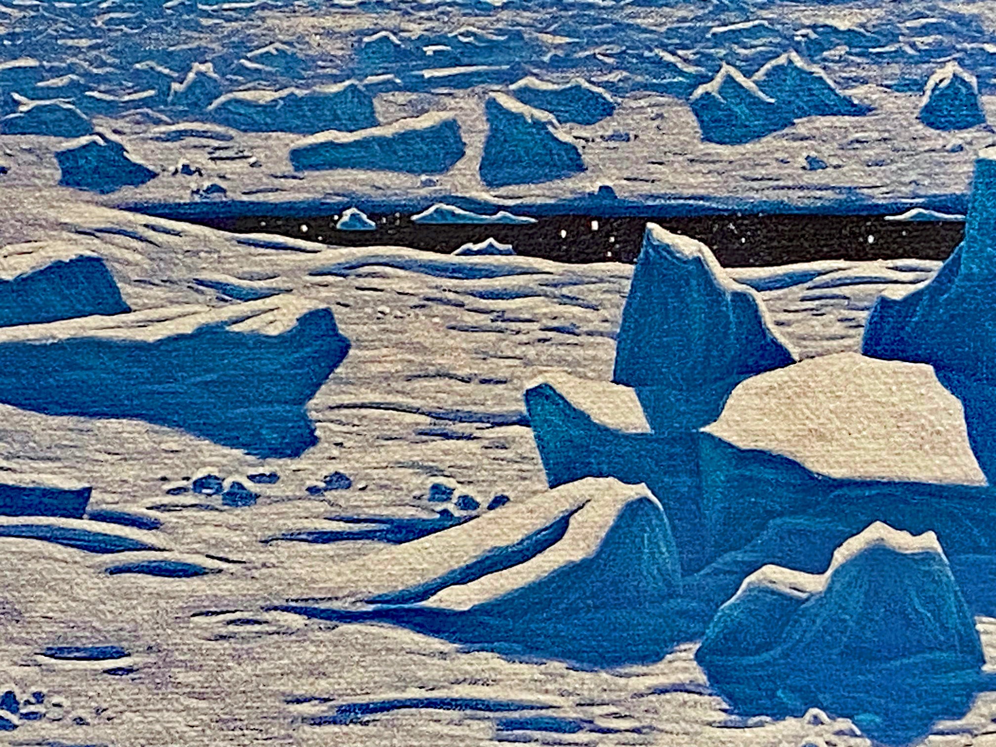 Arctic Dream William Schimmel Canvas Giclée Print Artist Hand Signed and Numbered