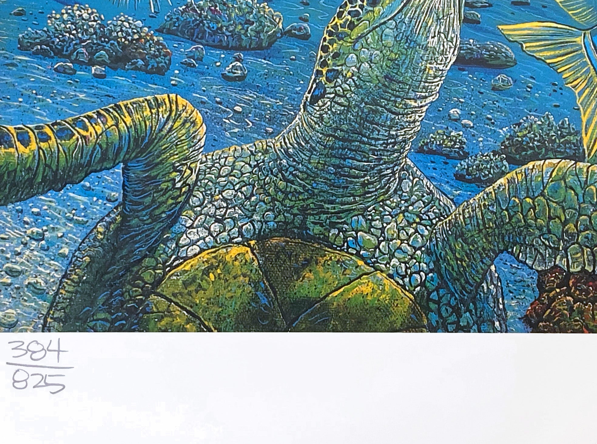 Cradle of Life Robert Lyn Nelson Mixed Media Print Artist Hand Signed and Numbered