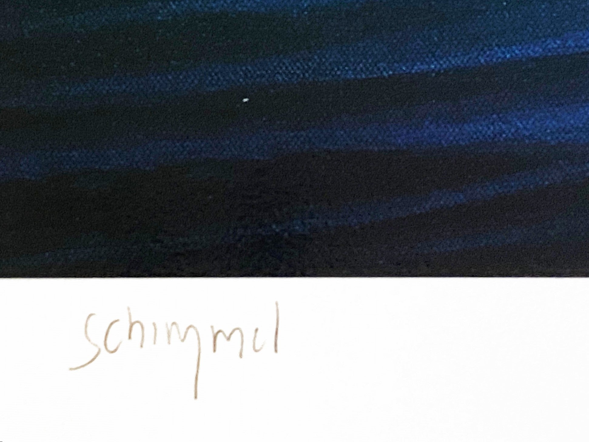 Antarcticas Children William Schimmel Serigraph Print Artist Hand Signed and Numbered