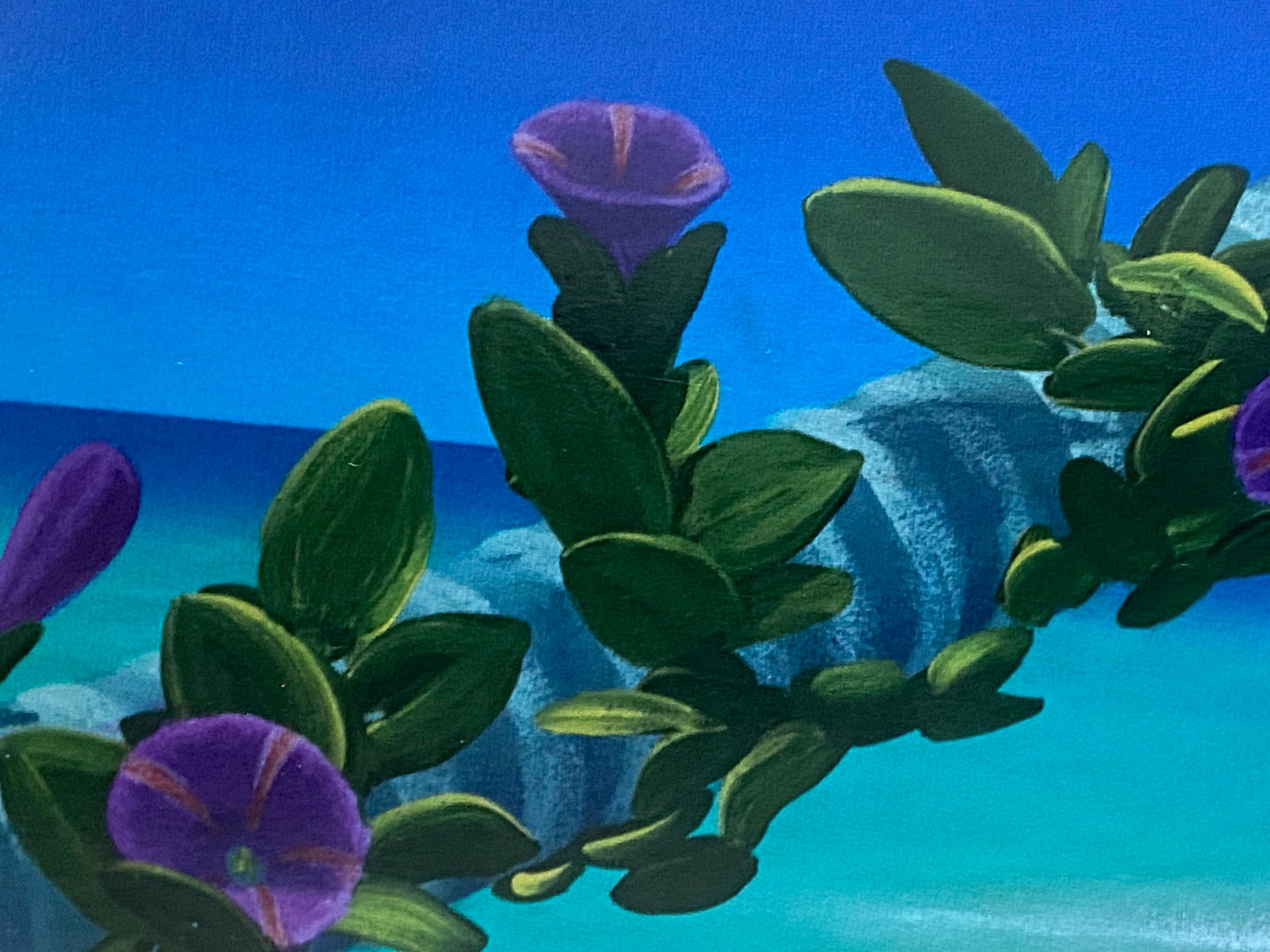 Morning Glory Bay Dan Mackin Lithograph Print Artist Hand Signed and Numbered