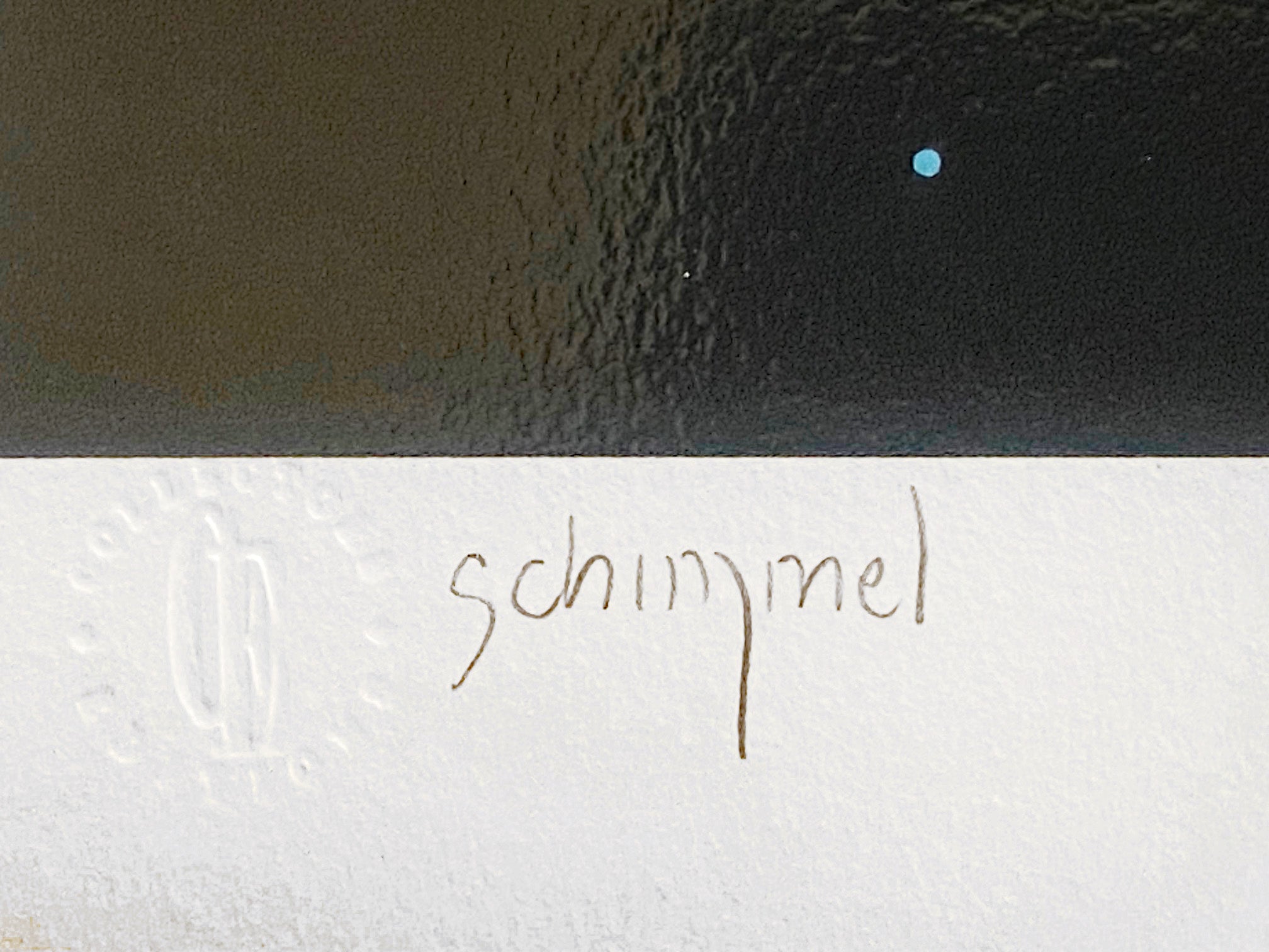 Our Home Too II Dolphins William Schimmel Serigraph Print Artist Hand Signed and Numbered