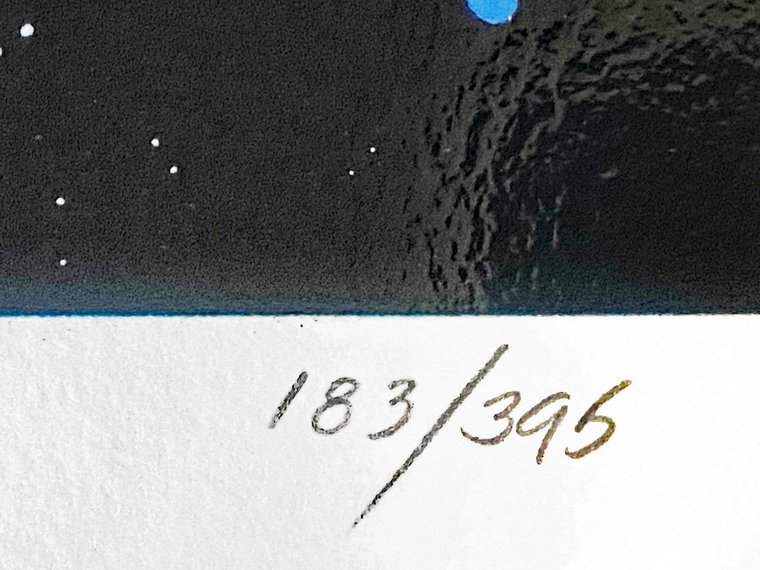 Our Home Too II Dolphins William Schimmel Serigraph Print Artist Hand Signed and Numbered