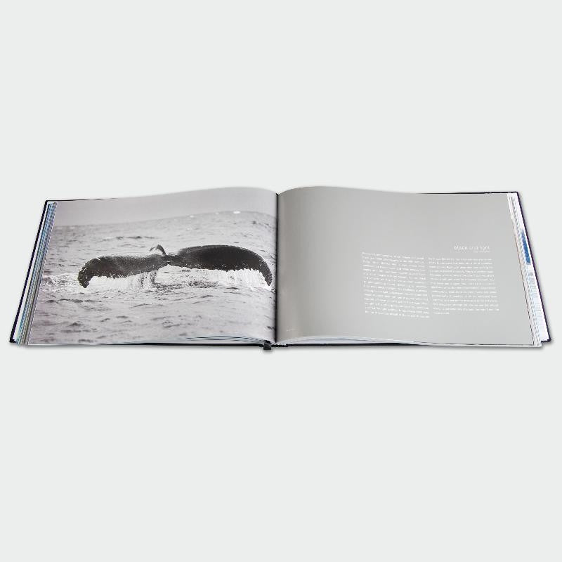 Wyland Visions Of The Sea Deluxe Collectors Hardcover Art Book Artist Hand Signed and Numbered