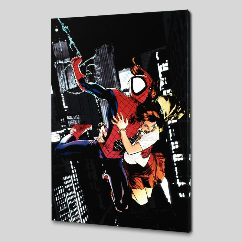 Ultimatum Spider Man Requiem 1 Marvel Comics Artist Stuart Immonen Canvas Giclée Print Numbered