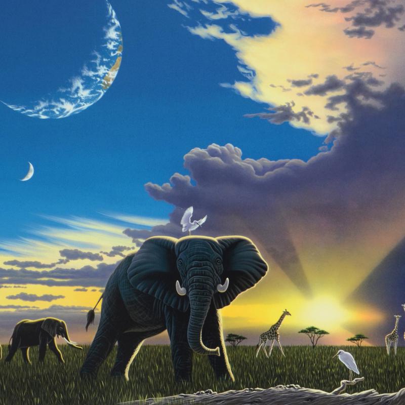 Paradise William Schimmel Giclée Print on Paper Artist Hand Signed and Numbered