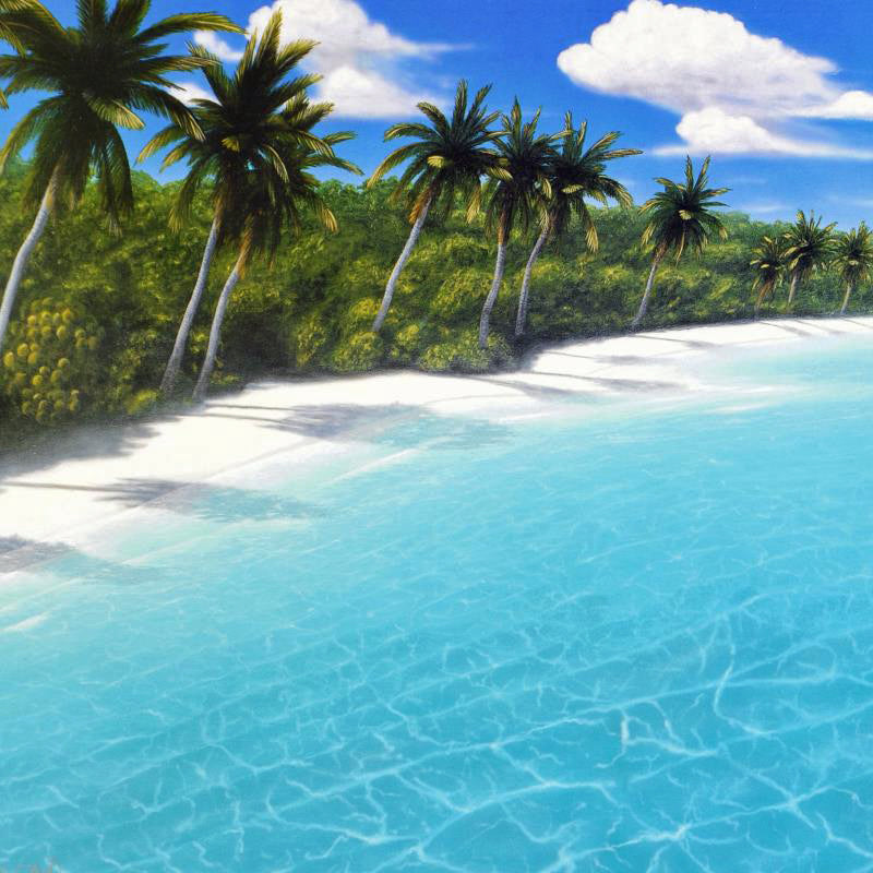 Endless Beaches Dan Mackin Lithograph Print Artist Hand Signed and Numbered