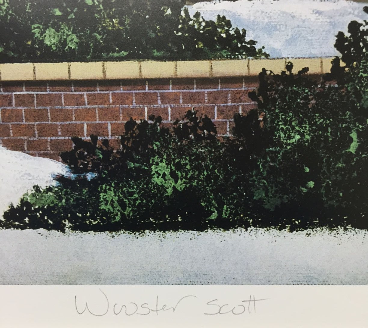 Fighting Back Jane Wooster Scott Lithograph Print Artist Hand Signed and Numbered