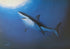 Great White Wyland Lithograph Print Artist Hand Signed and Numbered