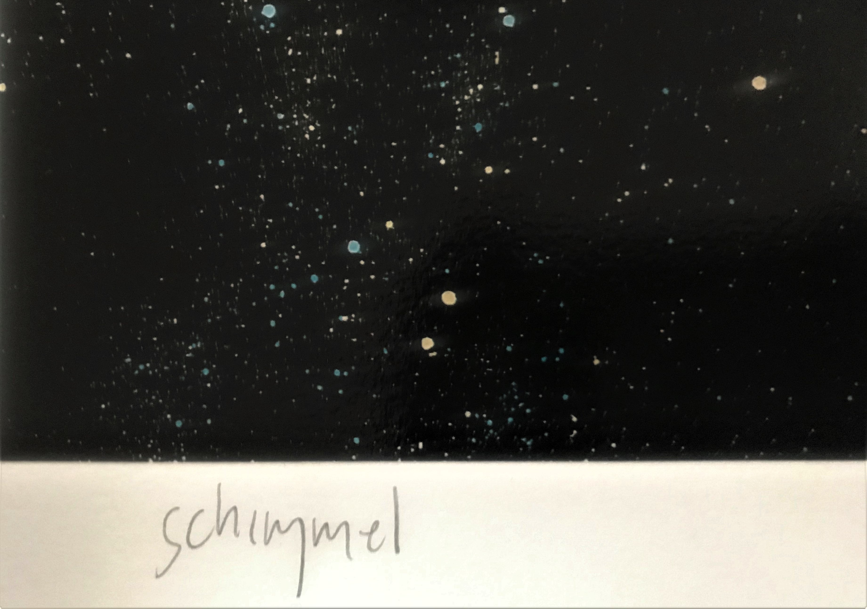 Conception William Schimmel Giclee Print Artist Hand Signed and Numbered