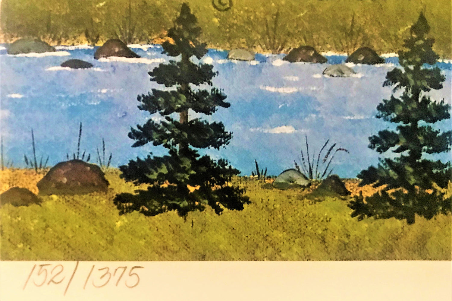 A Rambunctious Razzle Dazzle Jane Wooster Scott Lithograph Print Artist Hand Signed and Numbered