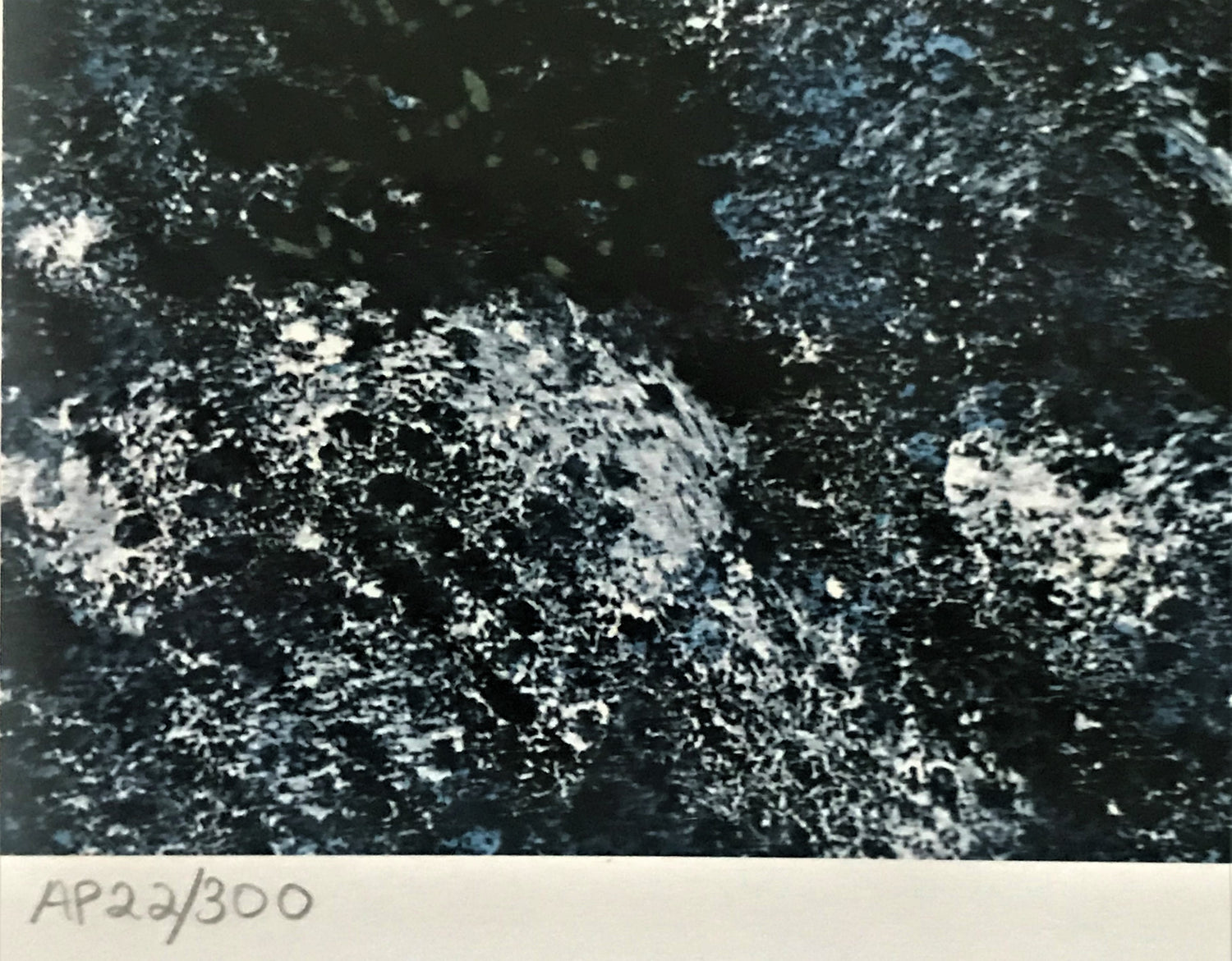 Special Delivery Jane Wooster Scott Artist Proof Lithograph Print Artist Hand Signed and AP Numbered