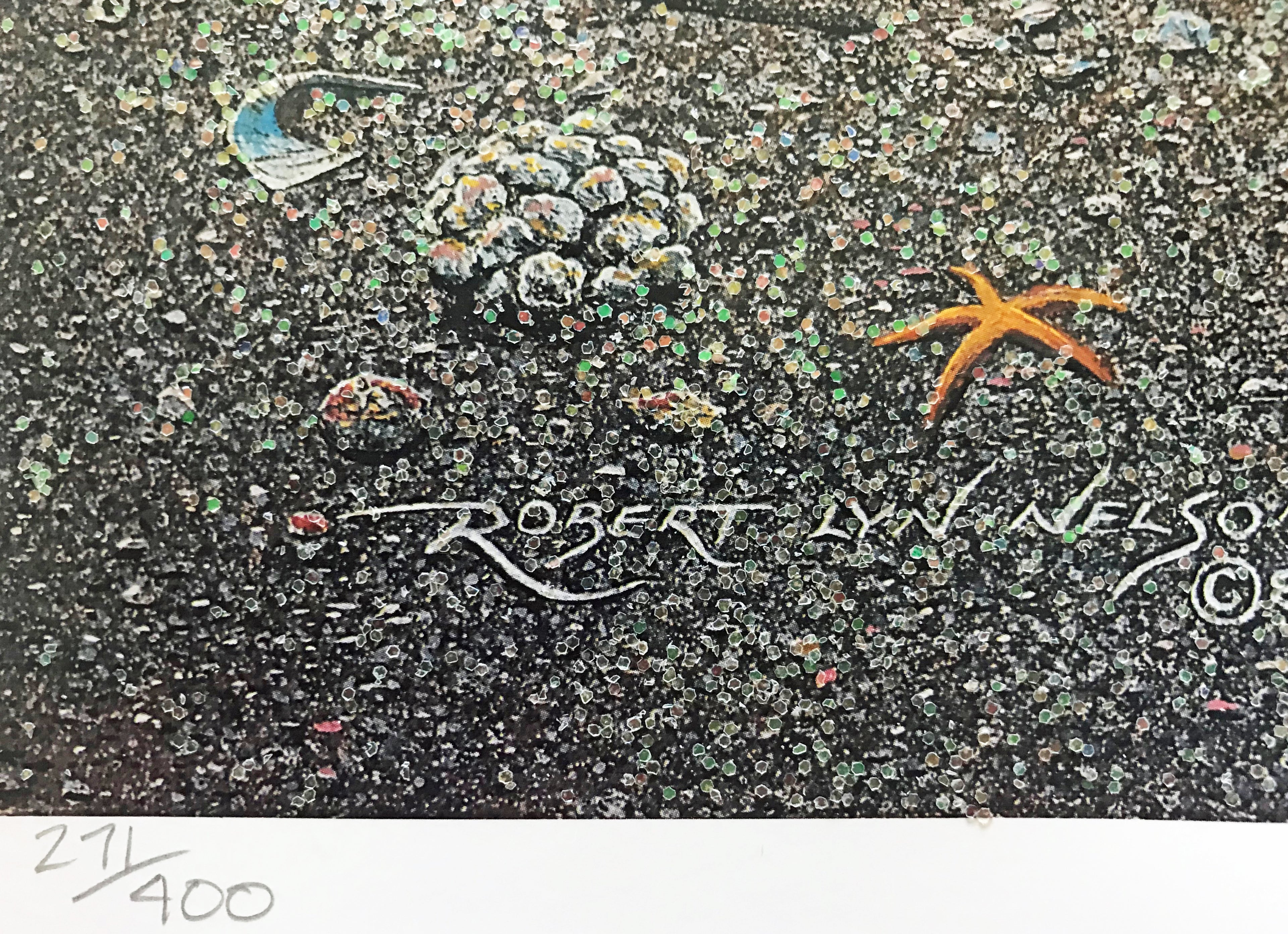 Summer Illusions Robert Lyn Nelson Mixed Media Print Artist Hand Signed and Numbered