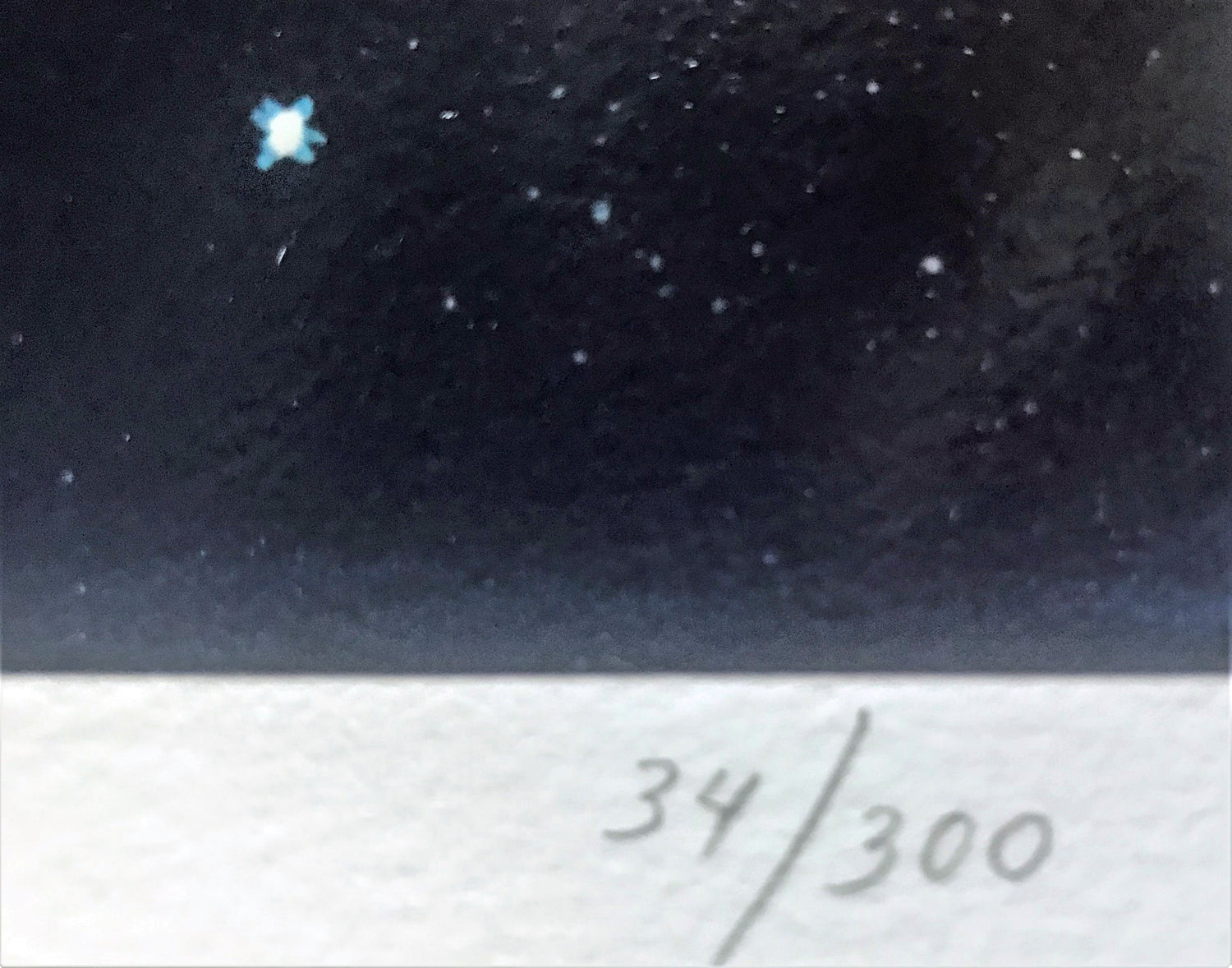 The Humpbacks World William Schimmel Fine Art Serigraph Print Artist Hand Signed and Numbered