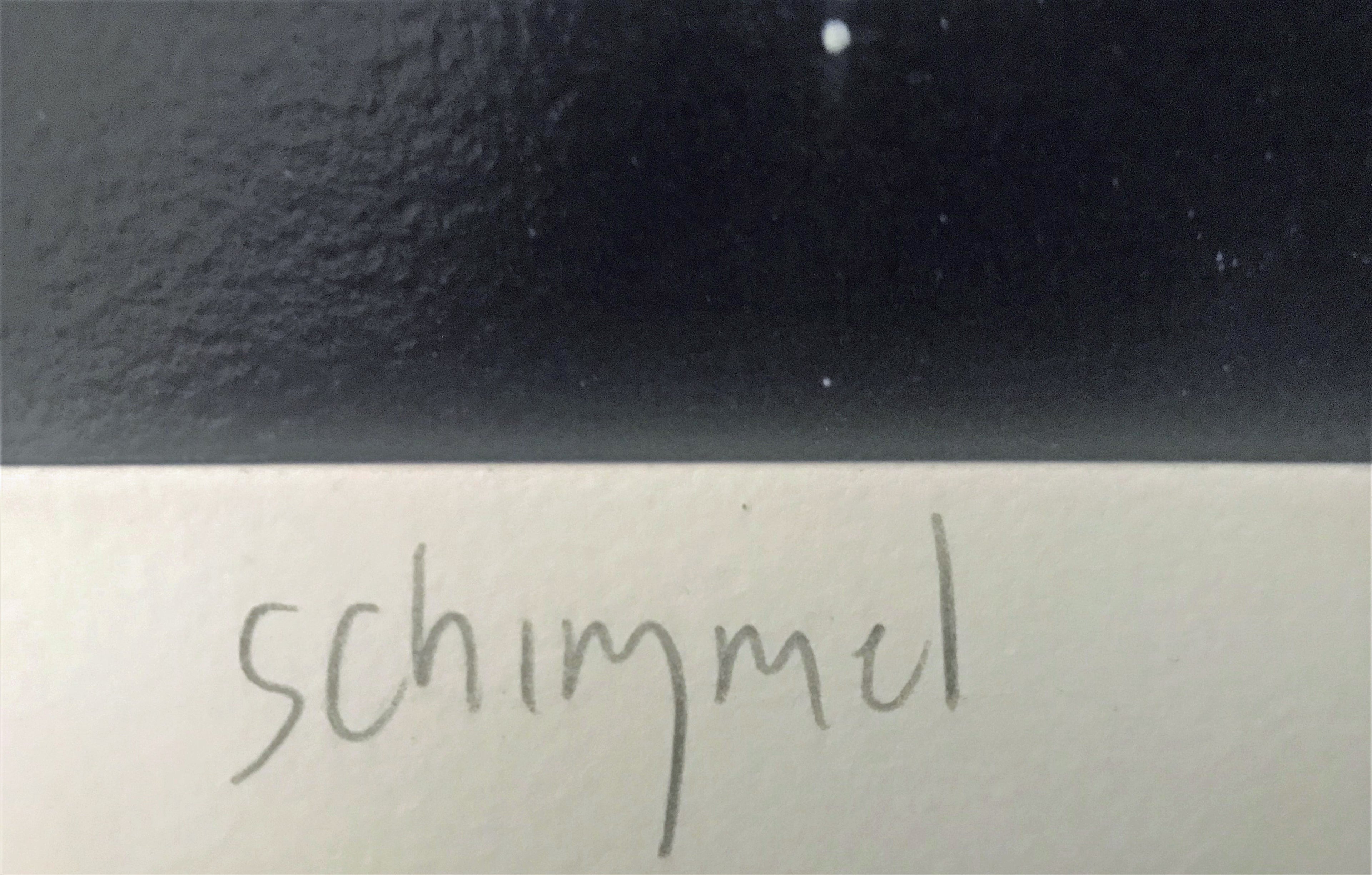 The Humpbacks World William Schimmel Fine Art Serigraph Print Artist Hand Signed and Numbered