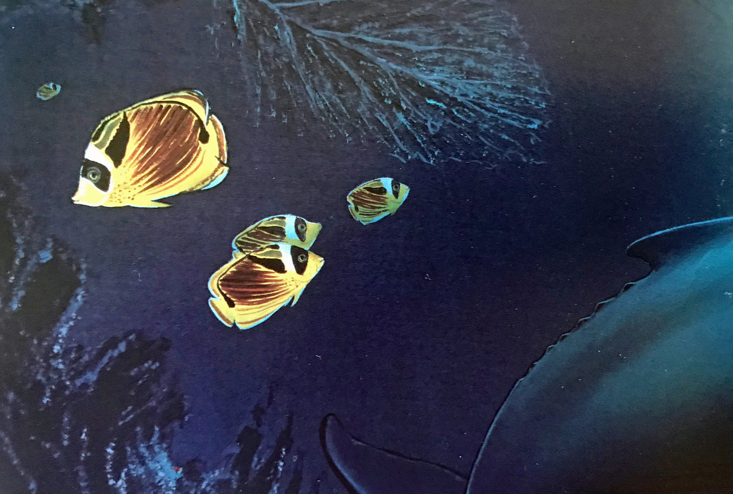 Innocent Age Dolphin Serenity Wyland Lithograph Print Artist Hand Signed and Numbered