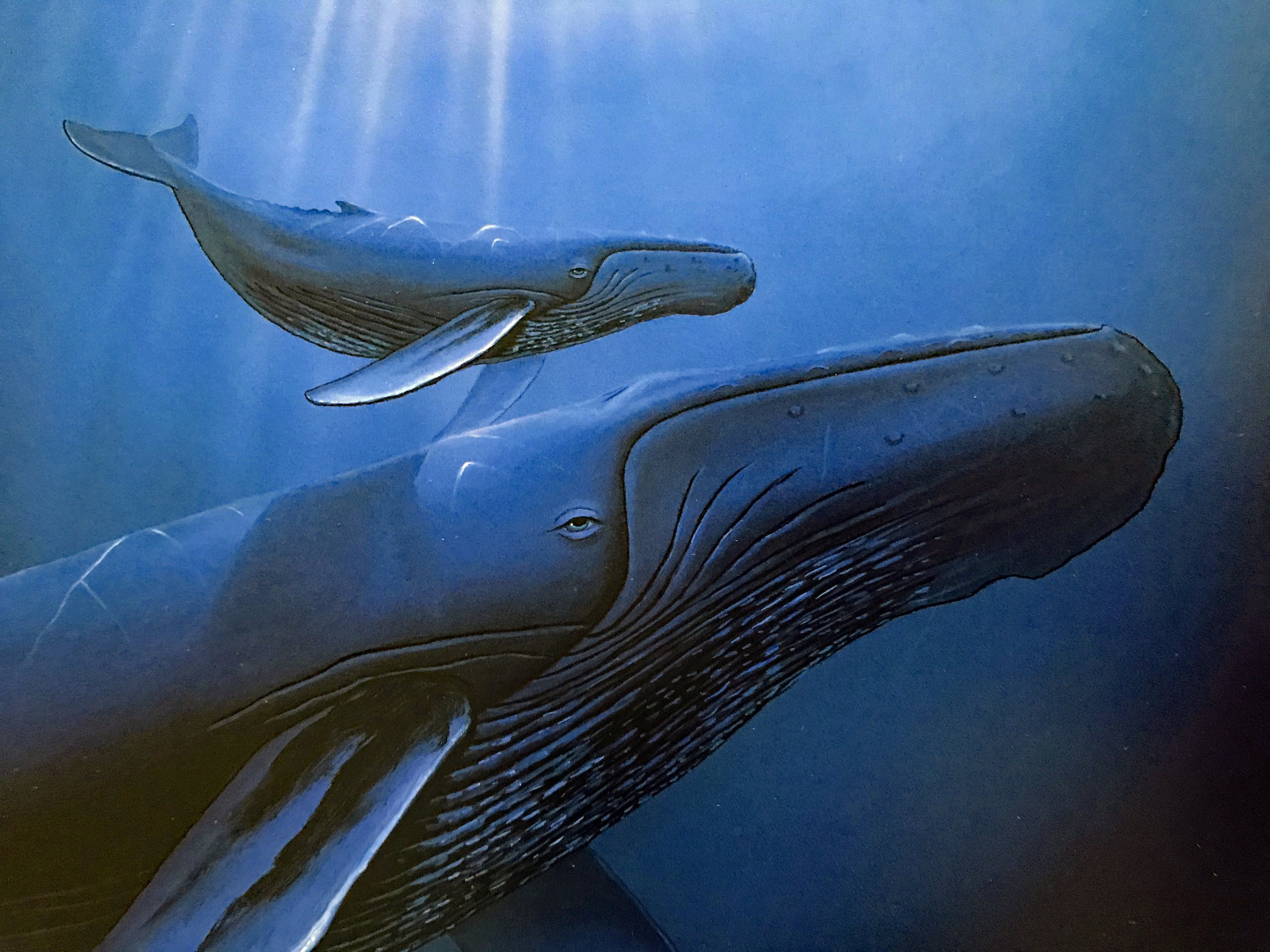 Innocent Age Dolphin Serenity Wyland Lithograph Print Artist Hand Signed and Numbered