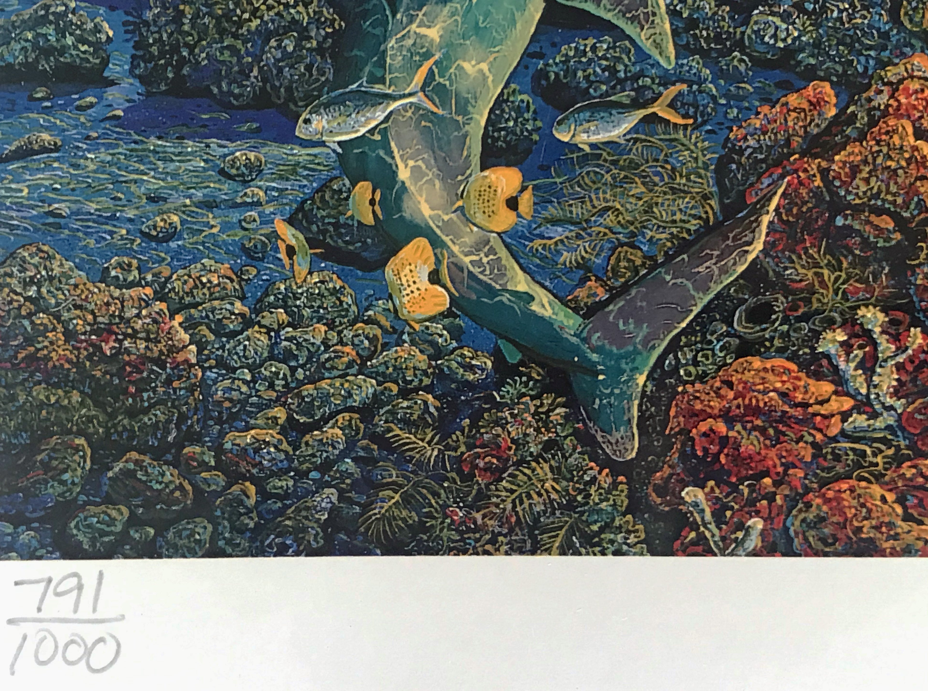 Sweeping Hana Vistas Robert Lyn Nelson Mixed Media Print Artist Hand Signed and Numbered