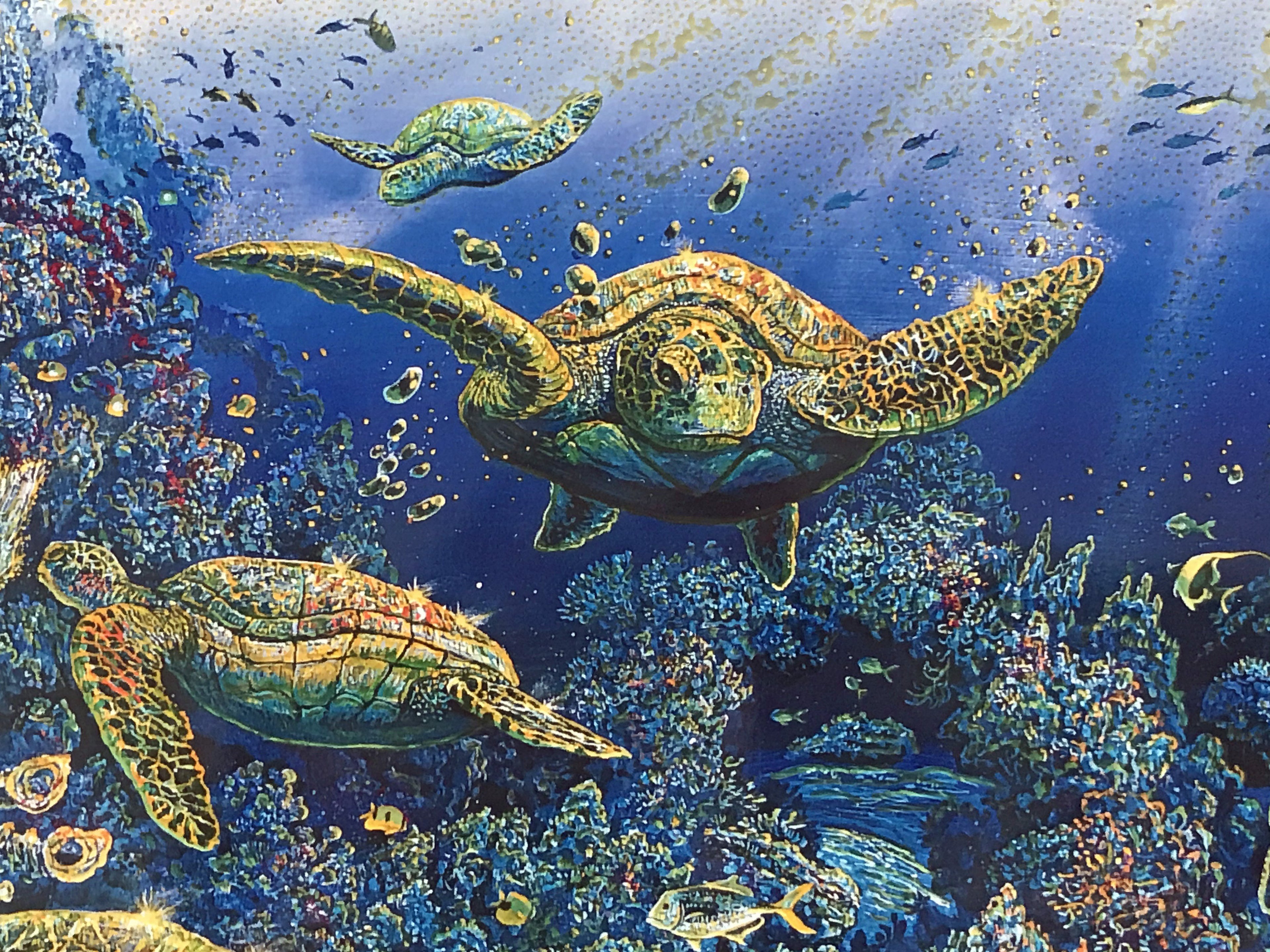 Sweeping Hana Vistas Robert Lyn Nelson Mixed Media Print Artist Hand Signed and Numbered