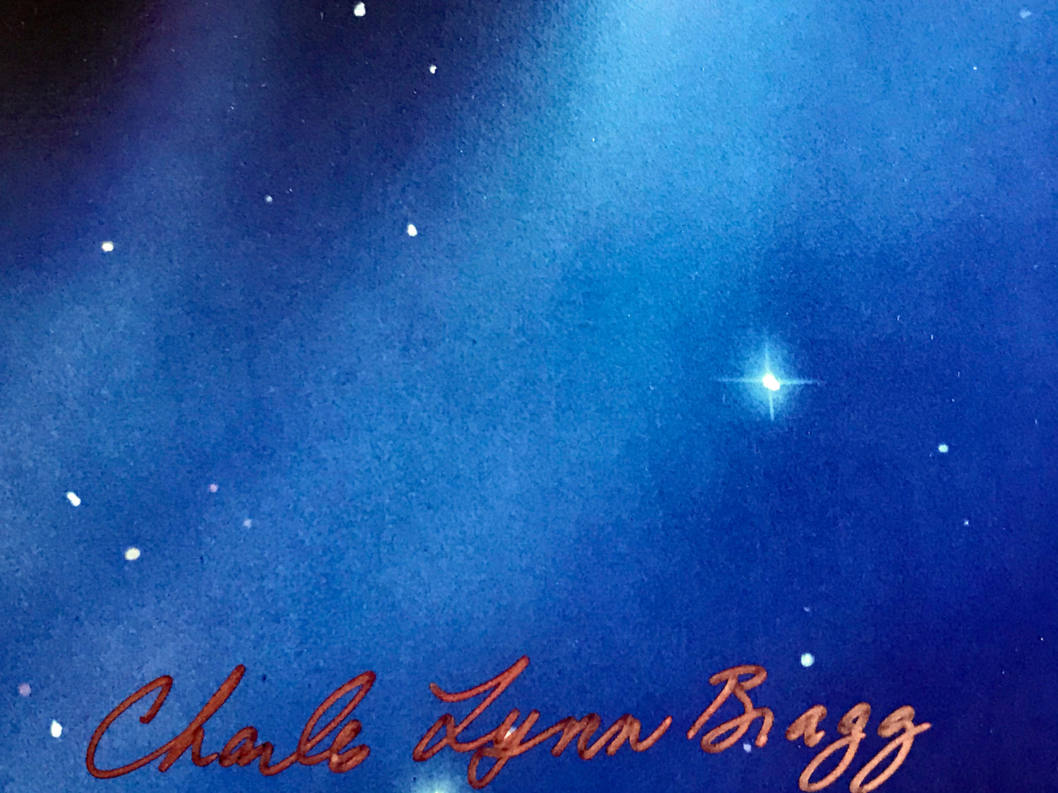 Night Vision Charles Lynn Bragg Lithograph Print Artist Hand Signed and Numbered