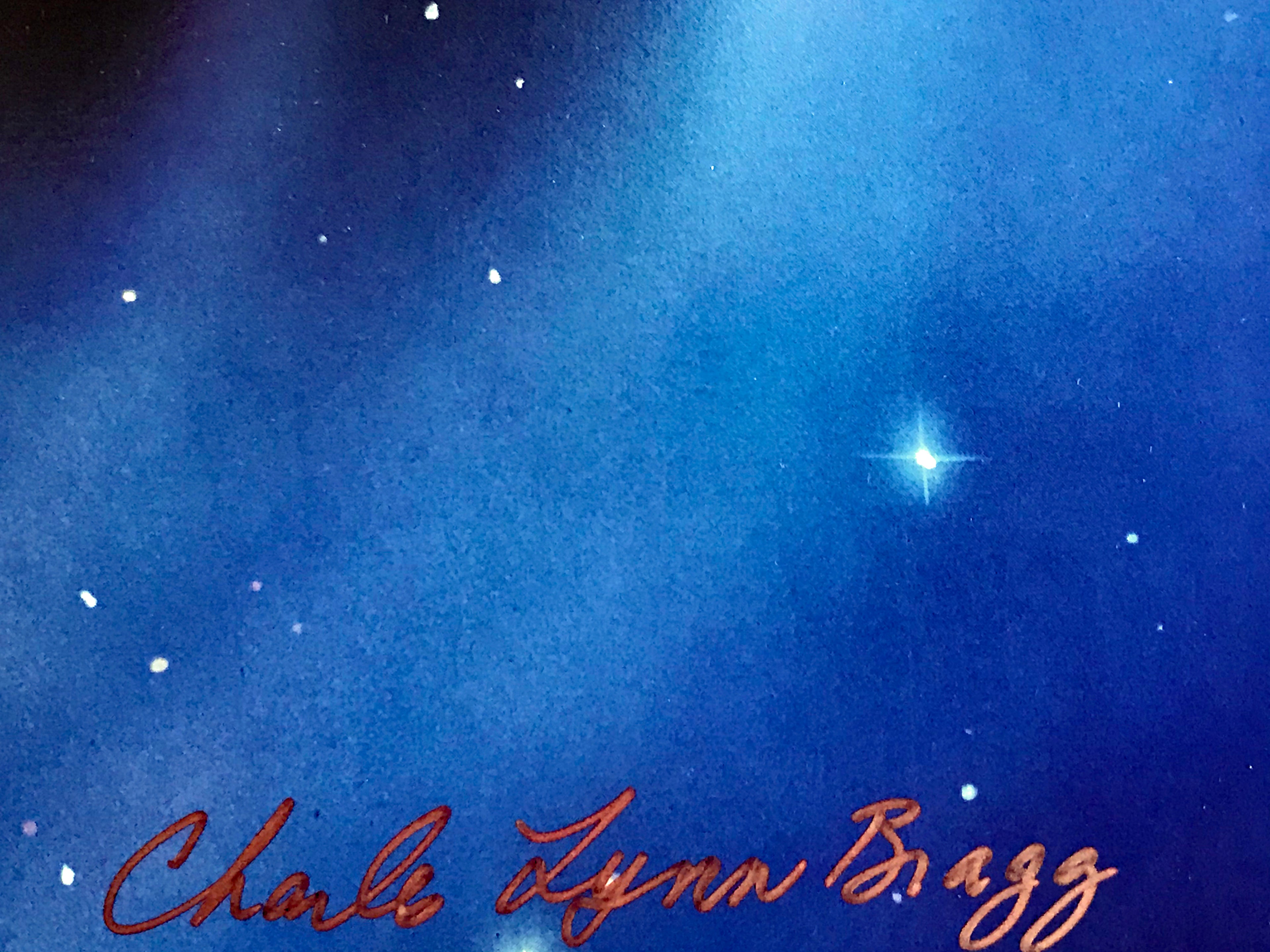 Night Vision Charles Lynn Bragg Lithograph Print Artist Hand Signed and Numbered