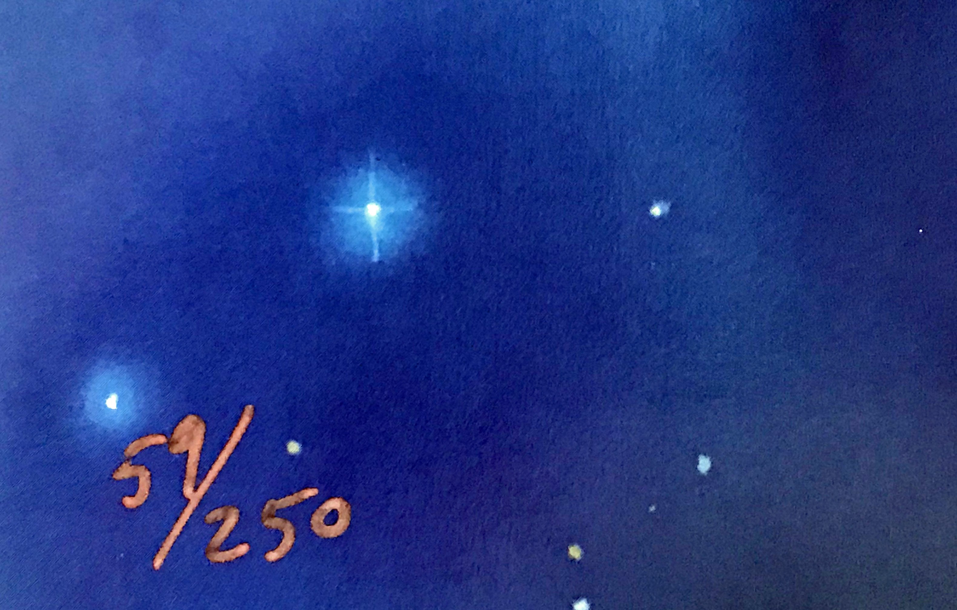 Night Vision Charles Lynn Bragg Lithograph Print Artist Hand Signed and Numbered