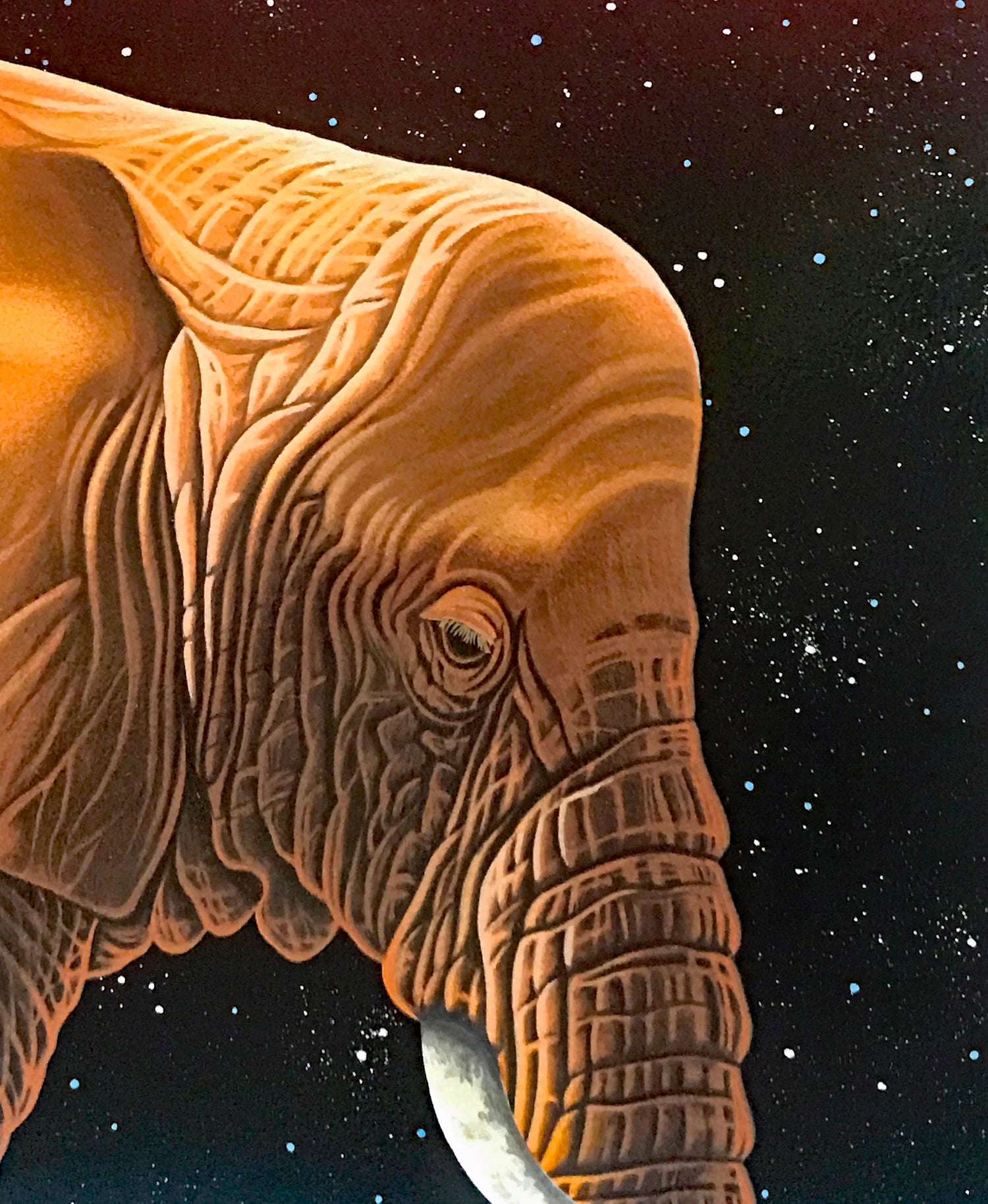 Our Home Too I Elephants William Schimmel Fine Art Serigraph Print Artist Hand Signed and Numbered