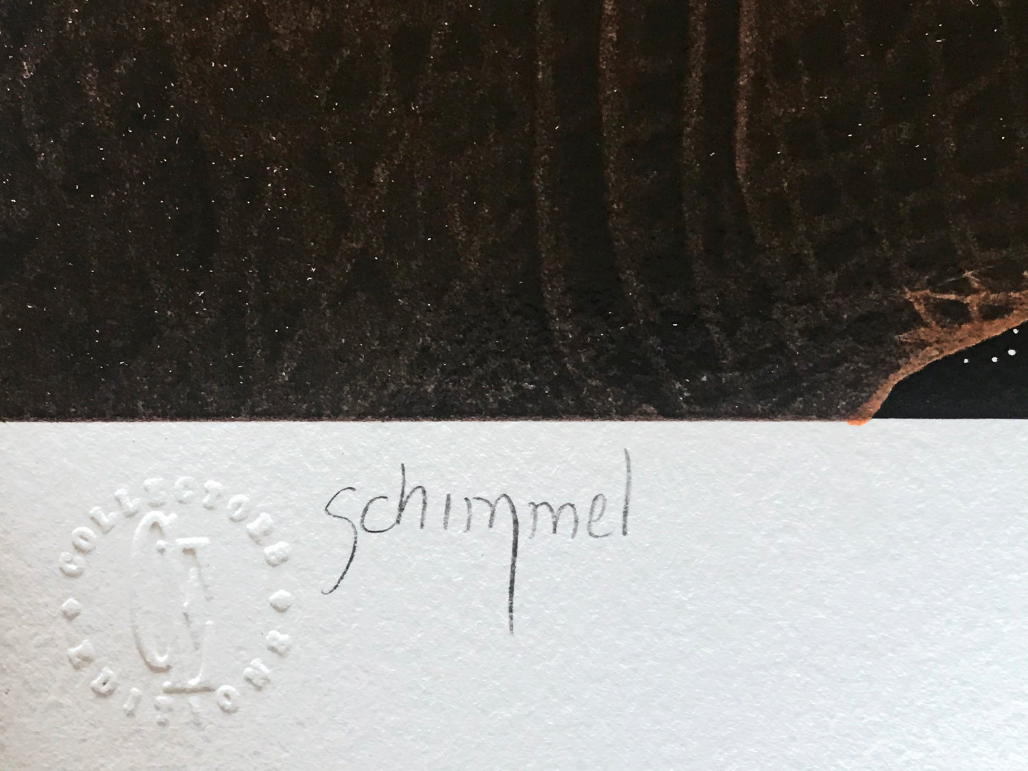 Our Home Too I Elephants William Schimmel Fine Art Serigraph Print Artist Hand Signed and Numbered