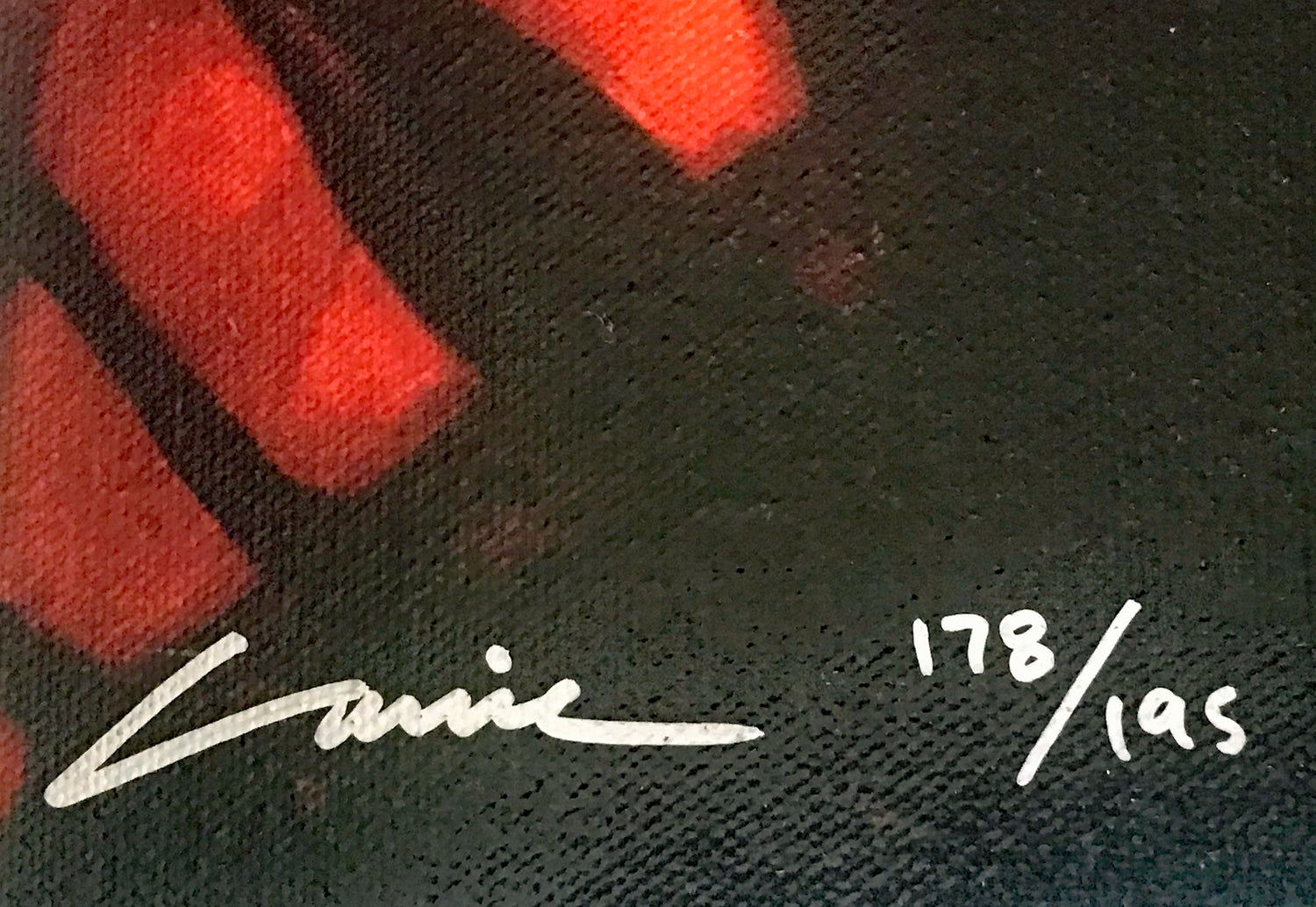 Warm Rain Carrie Graber Canvas Giclée Print Artist Hand Signed and Numbered