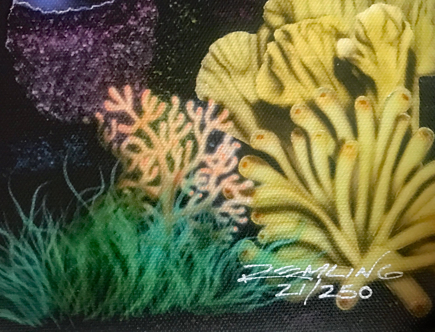 Together in Paradise Mark Remling Canvas Giclée Artist Hand Signed and Numbered