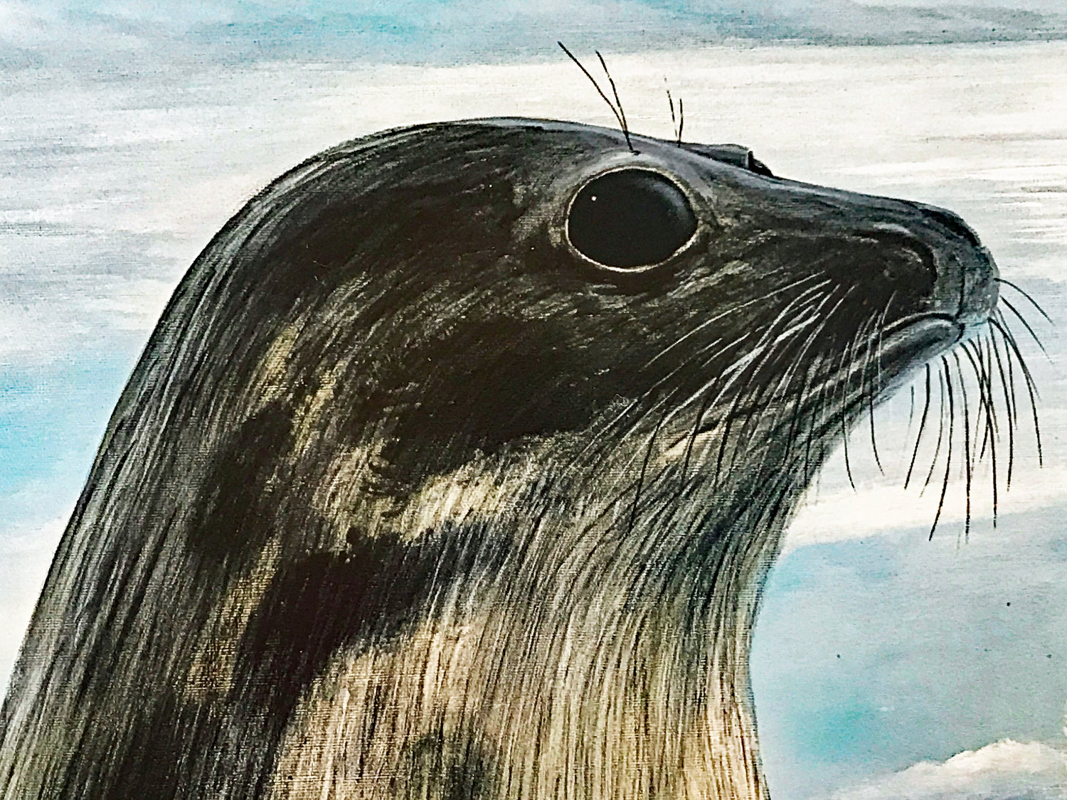 Harp Seals Wyland Lithograph Print Artist Hand Signed and Numbered