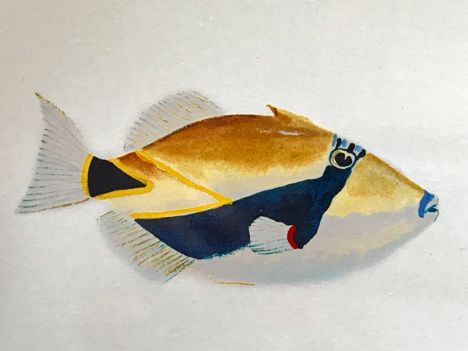 Hawaiian Sea Life Wyland Lithograph Print Artist Hand Signed and Numbered