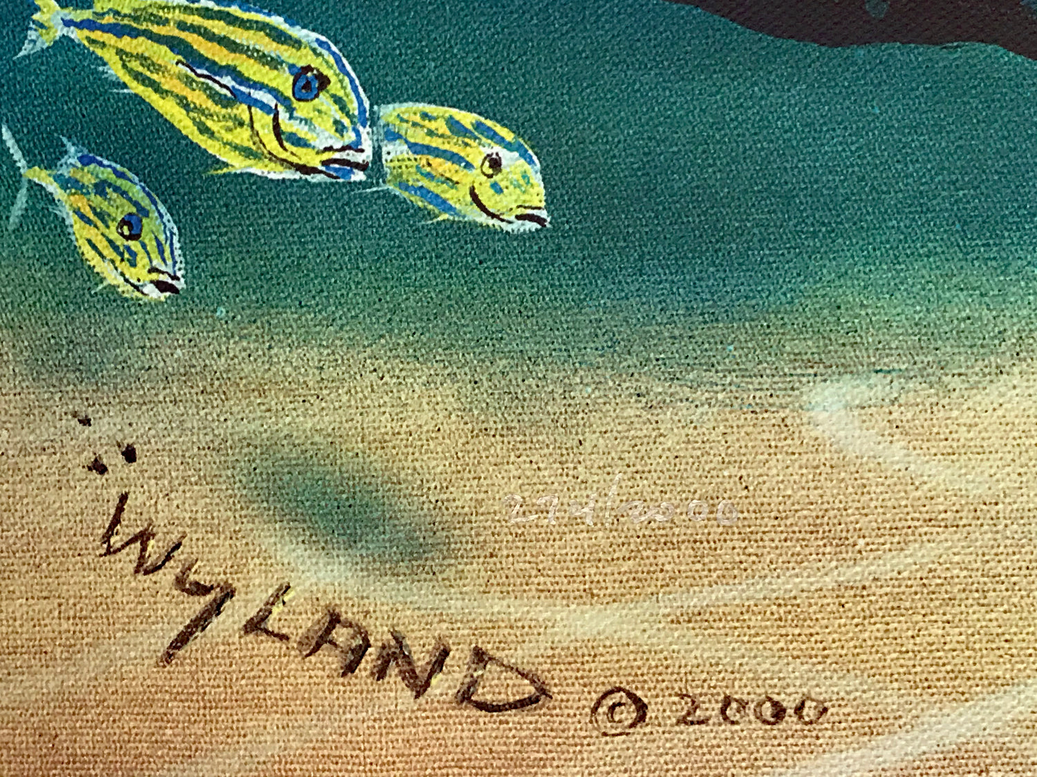 Warm Tropical Waters Wyland Canvas Giclée Print Artist Hand Signed and Numbered