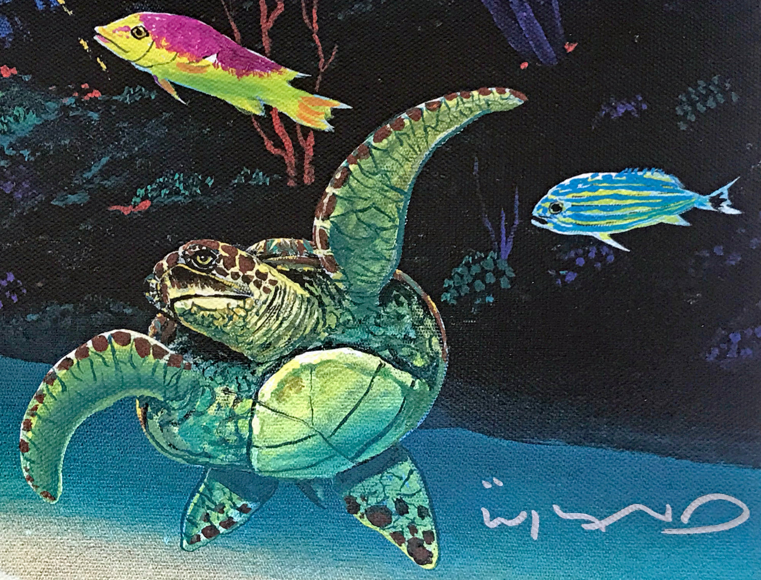 Warm Tropical Waters Wyland Canvas Giclée Print Artist Hand Signed and Numbered