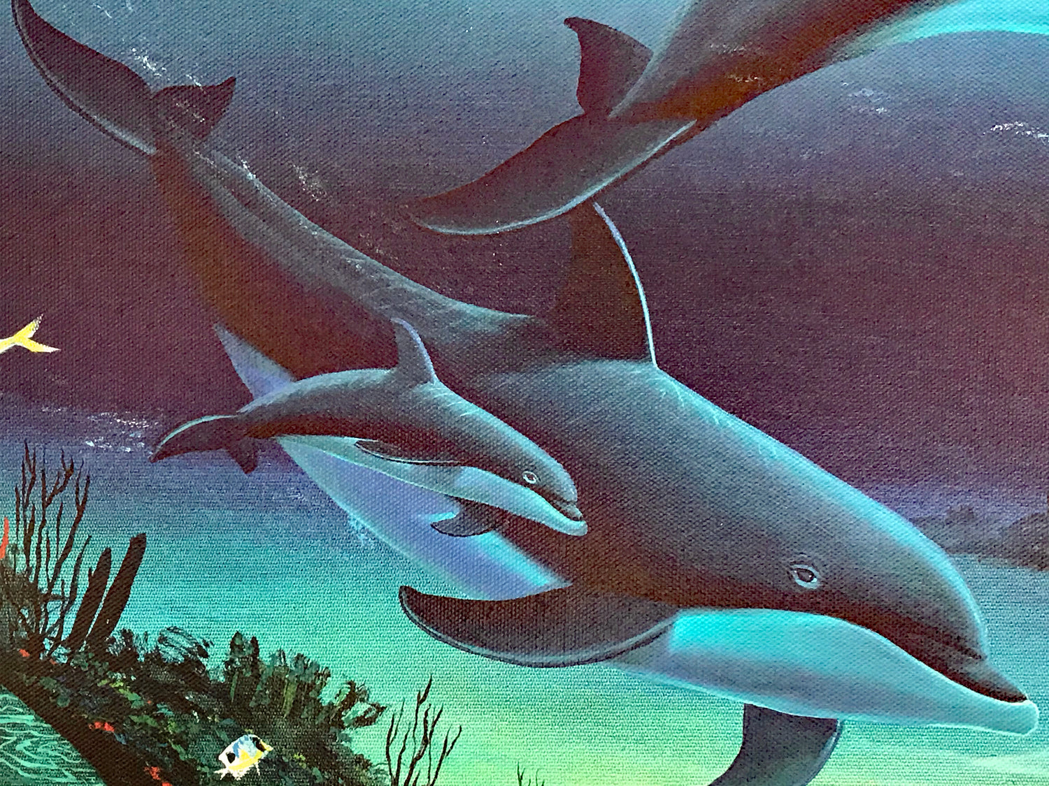 Warm Tropical Waters Wyland Canvas Giclée Print Artist Hand Signed and Numbered