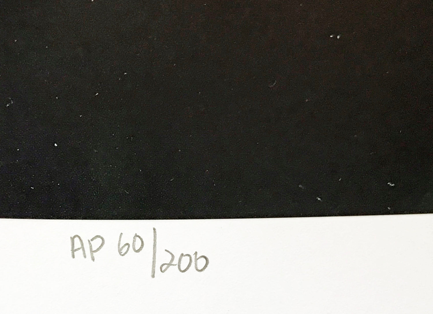 Seas Alive Wyland Artist Proof Lithograph Print Hand Signed and AP Numbered