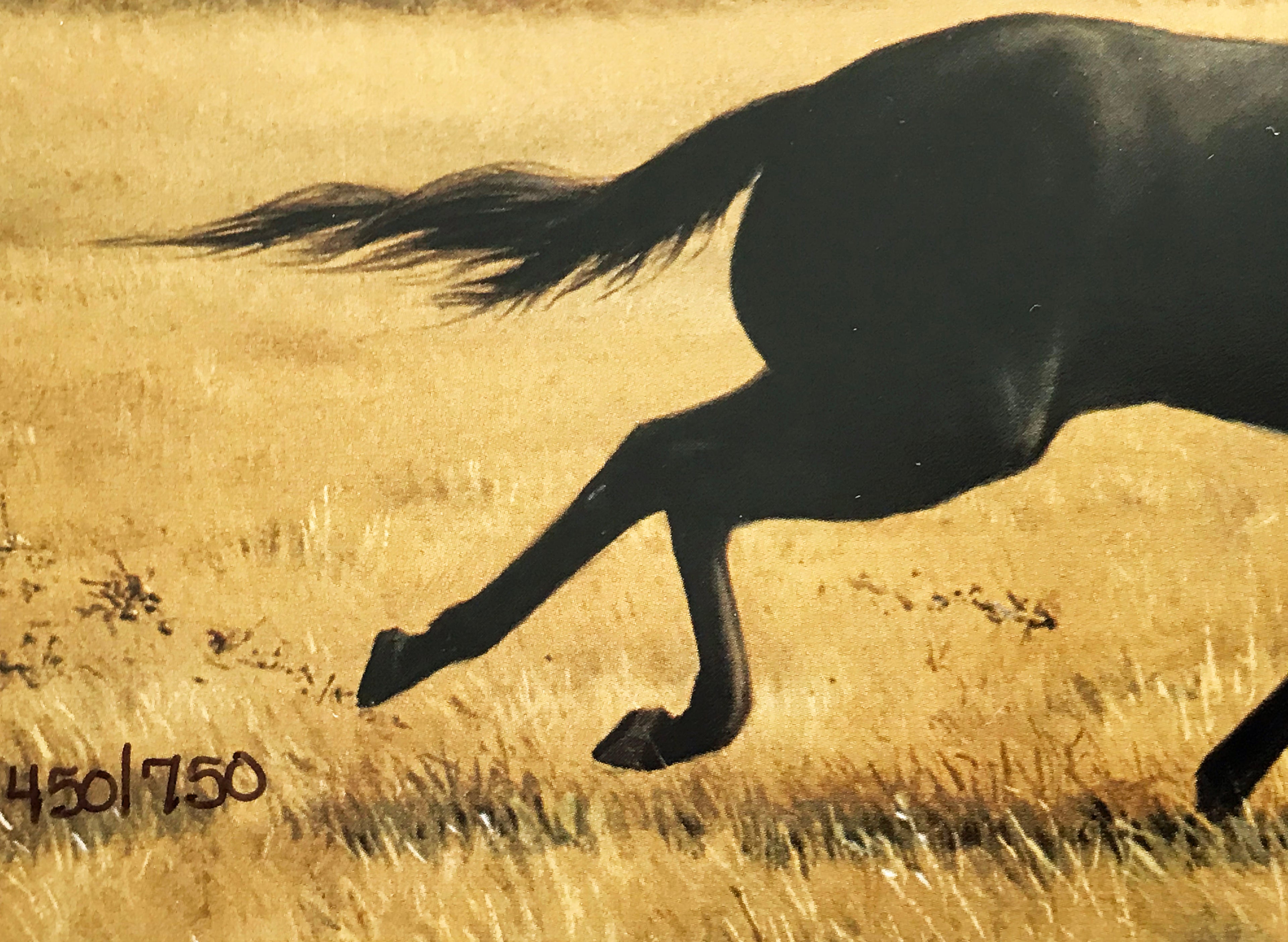 Flying Colors Robert Peters Lithograph Print Artist Hand Signed and Numbered
