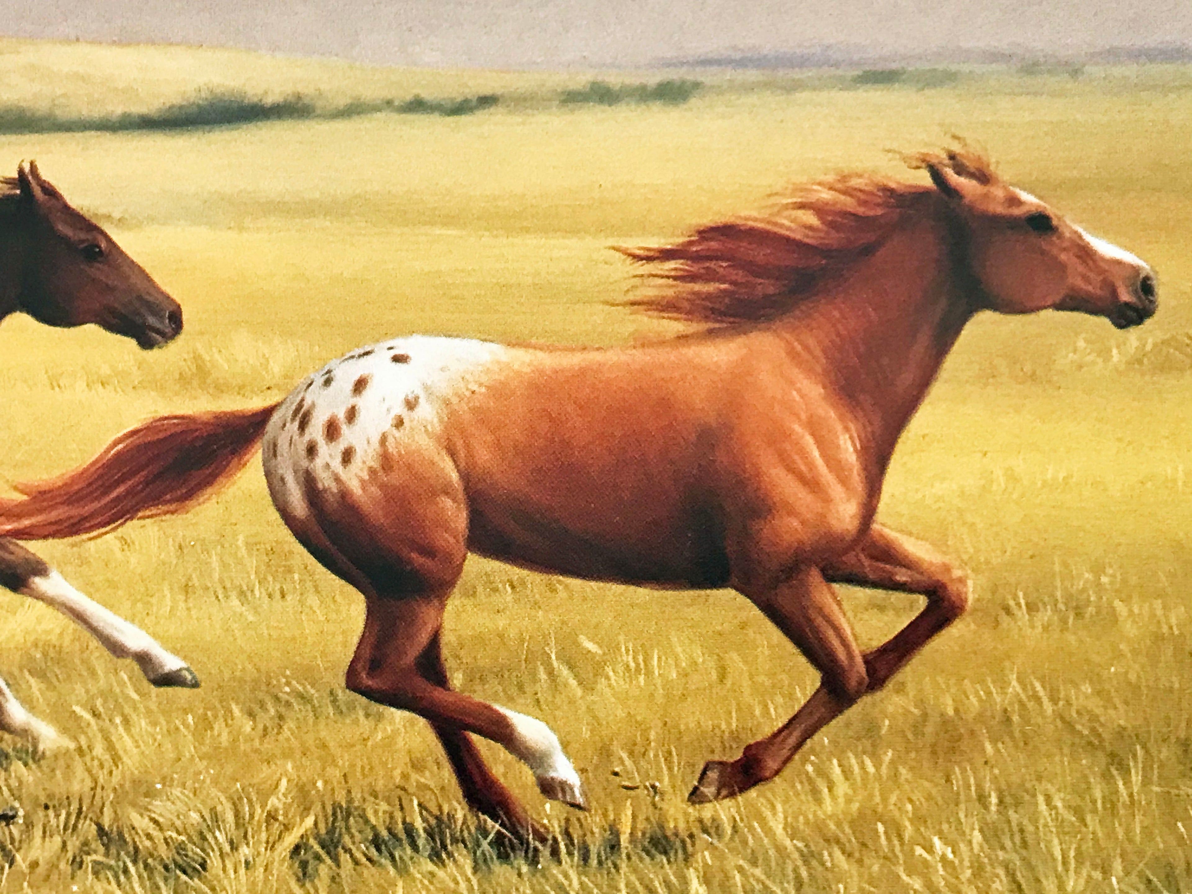 Flying Colors Robert Peters Lithograph Print Artist Hand Signed and Numbered