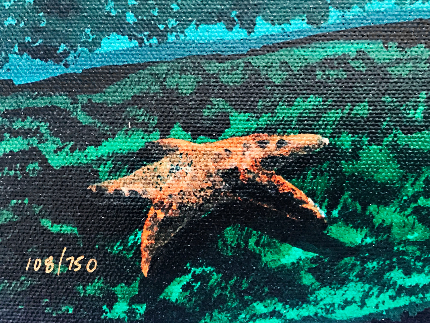 Coral Reef Life Wyland and Tracy Taylor Canvas Giclée Diptych Print Artist Hand Signed and Numbered