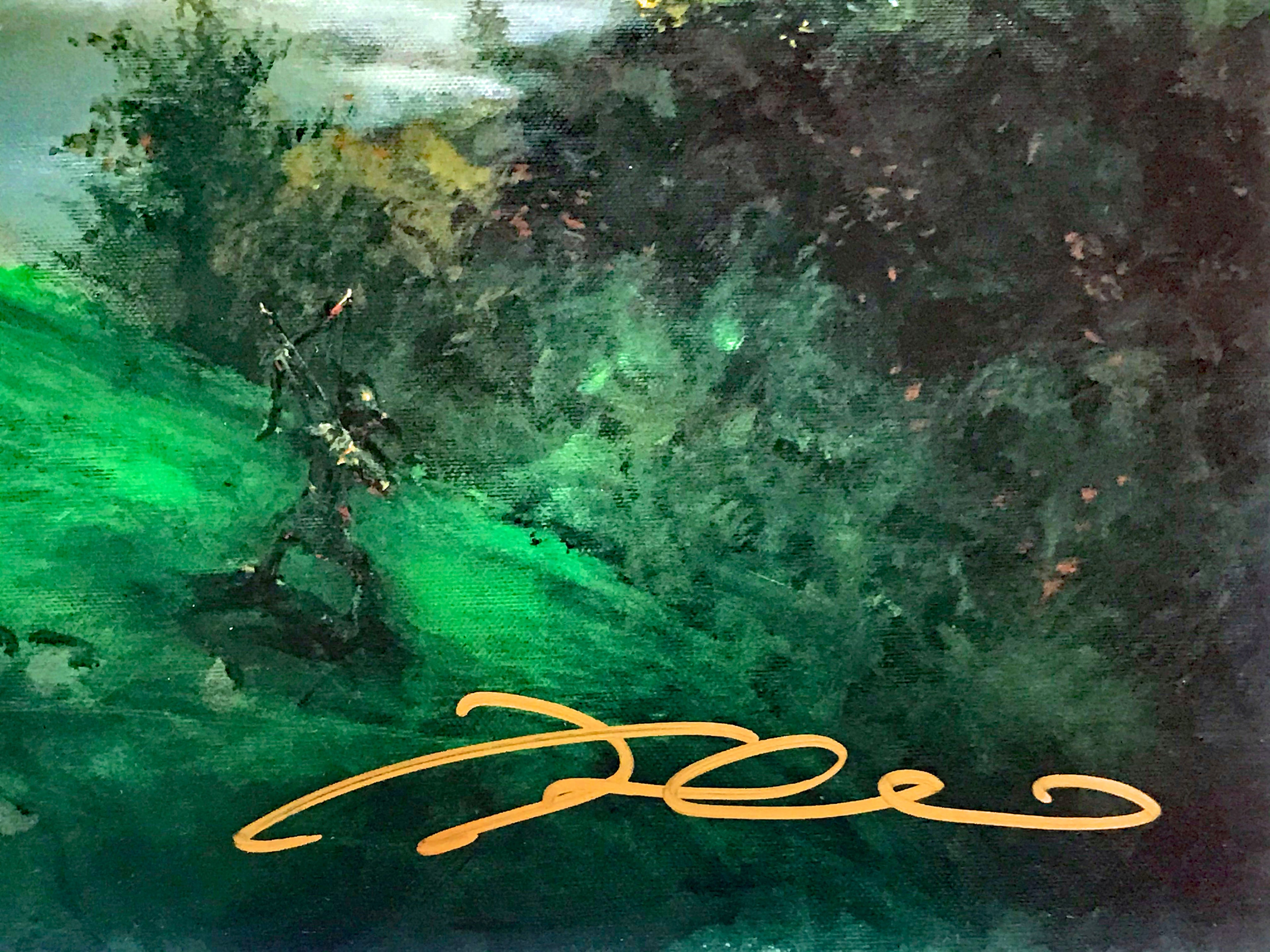 Dream Green Come True James Coleman Lithograph Print Artist Hand Signed and Numbered