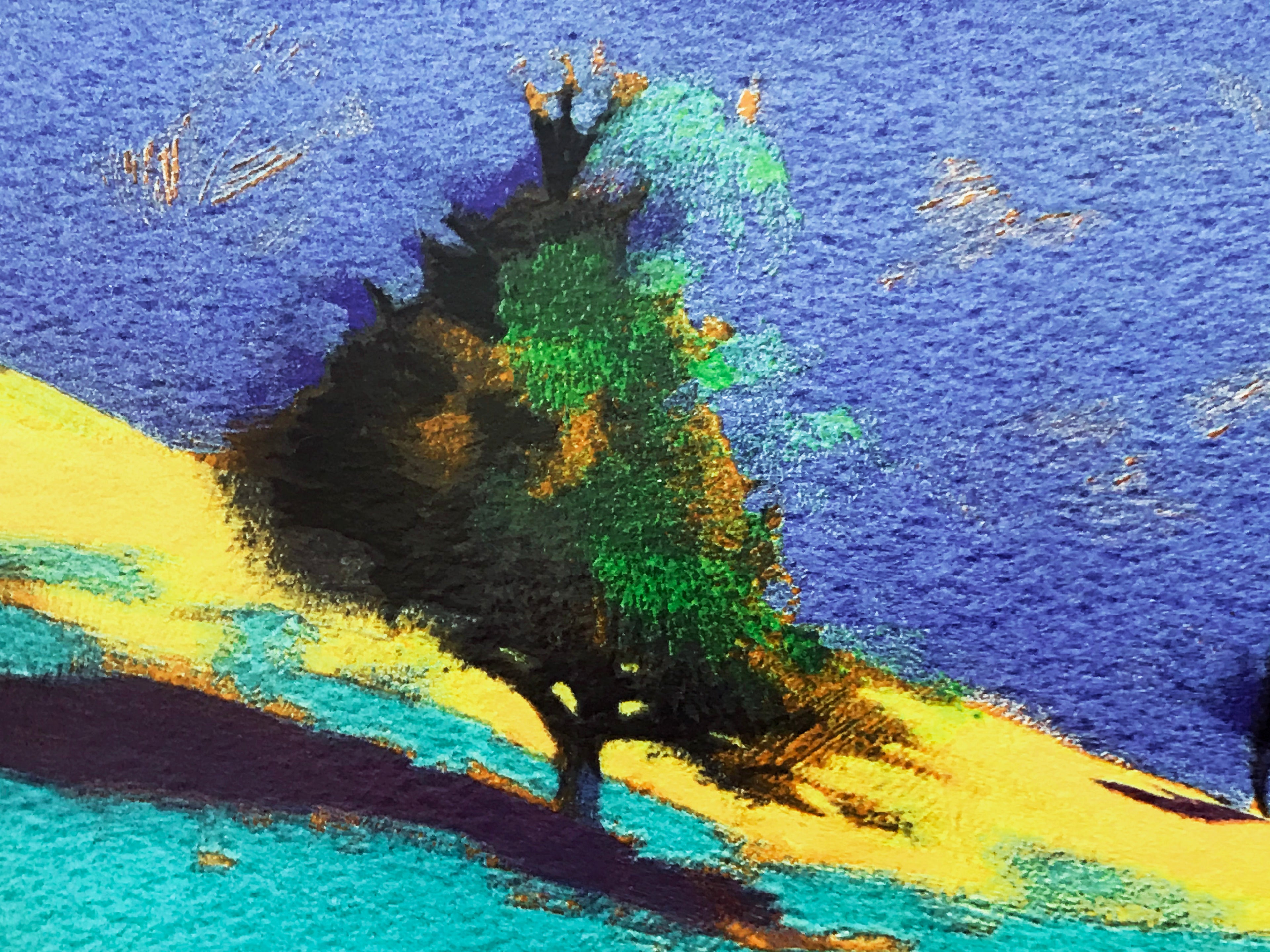 Purple Shade Paul Powis Serigraph Print Artist Hand Signed and Numbered