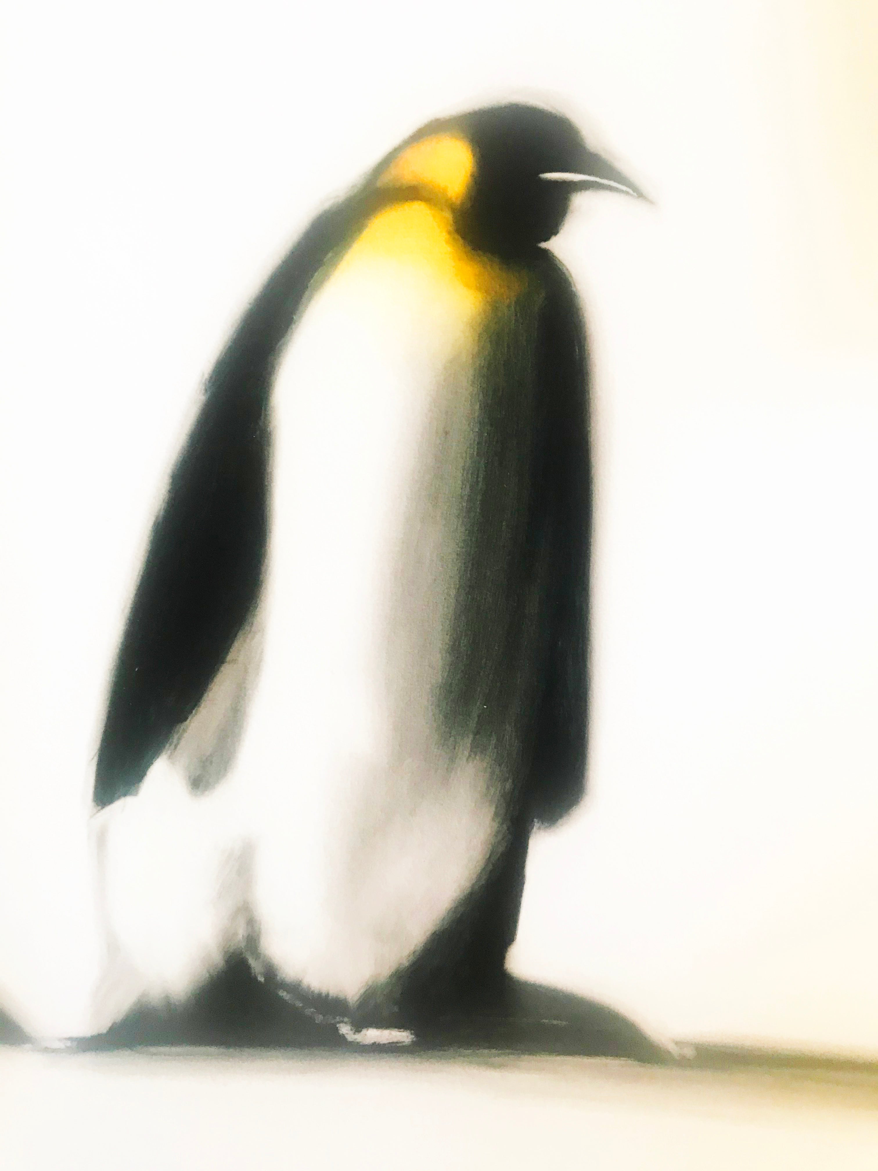 The King and I Paul Powis Giclée Print Artist Hand Signed and Numbered