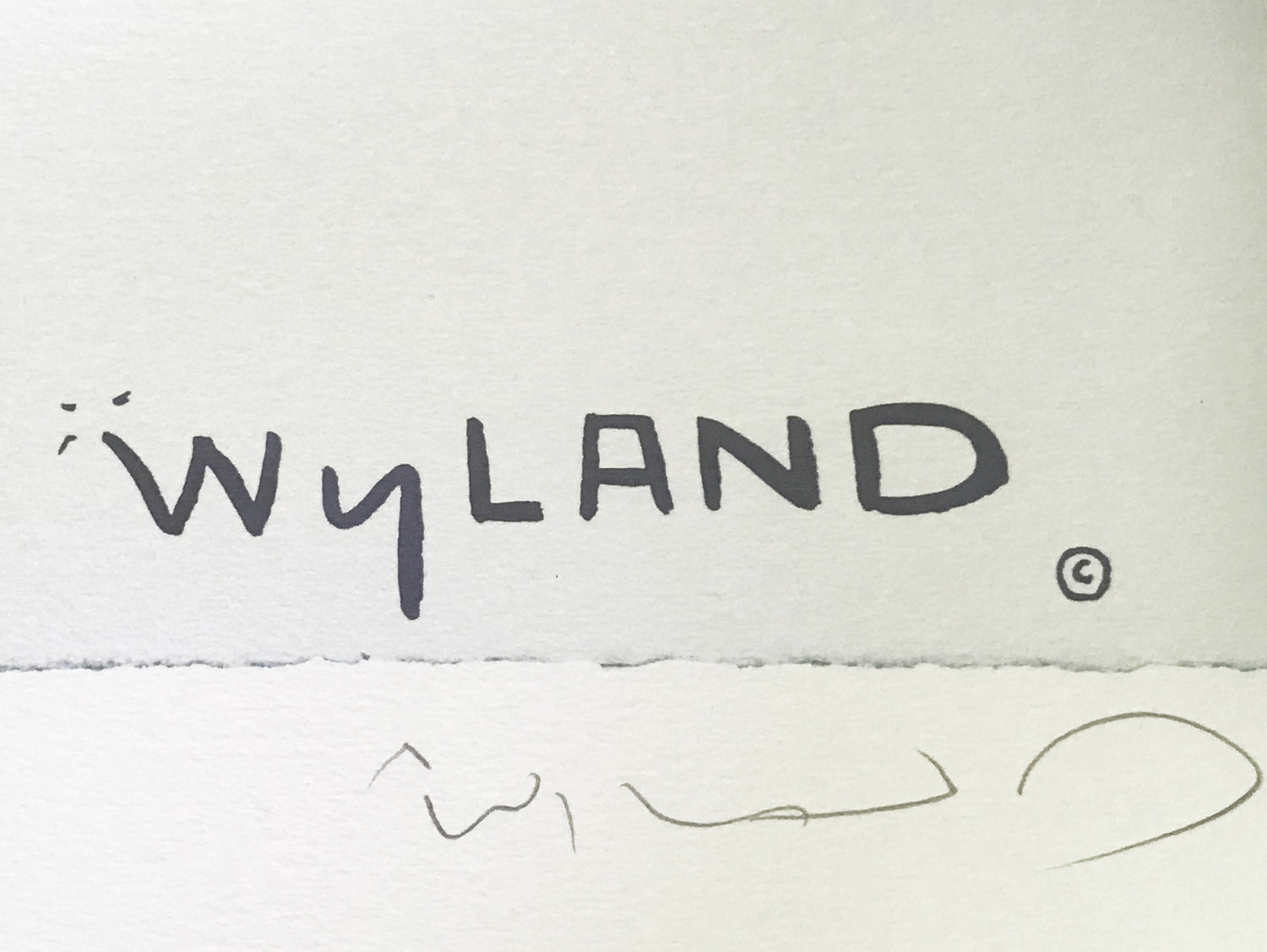 Who Invited These Guys Wyland Tracy Taylor Lithograph Print Both Artists Hand Signed and Numbered