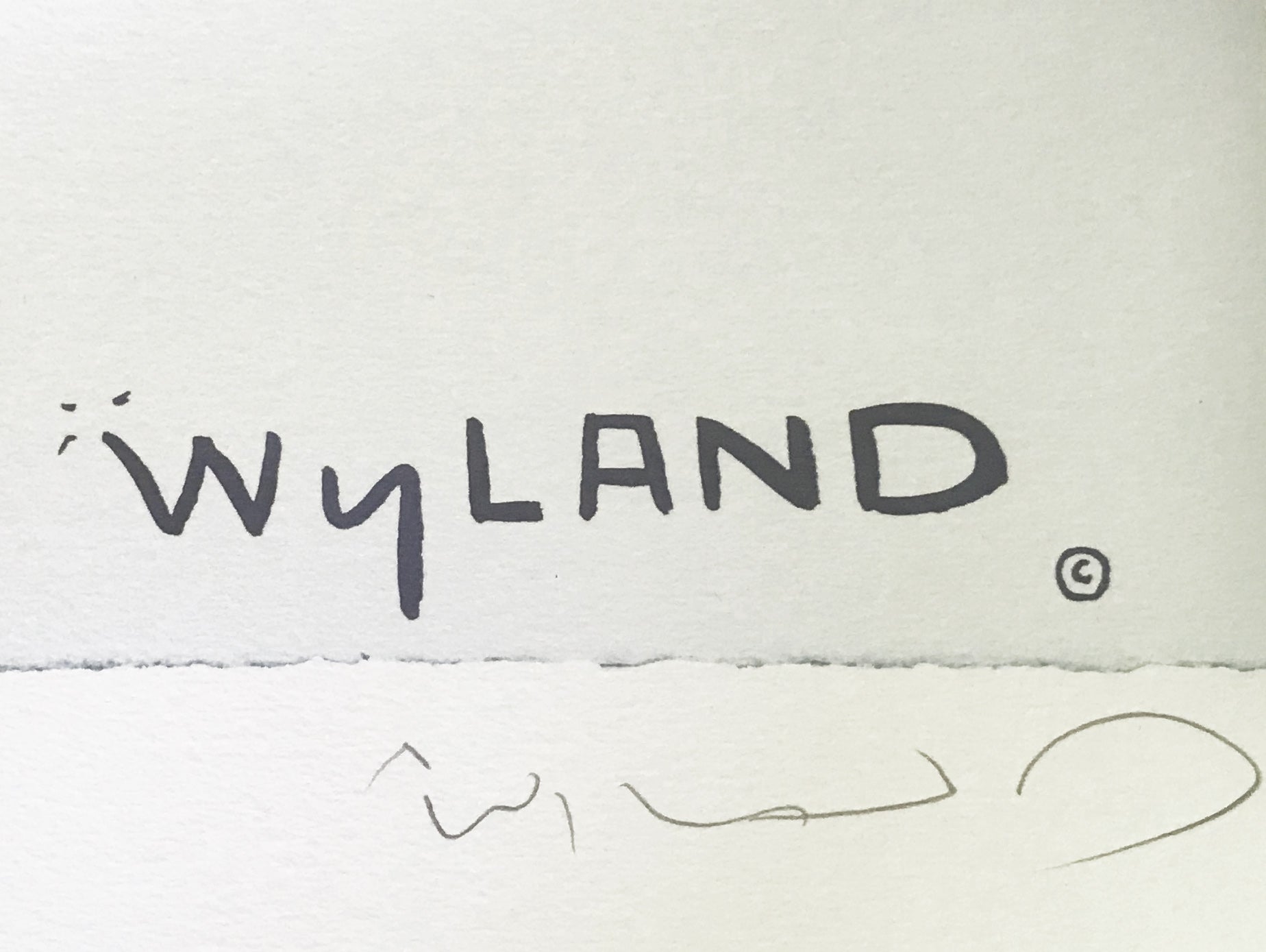 Who Invited These Guys Wyland Tracy Taylor Lithograph Print Both Artists Hand Signed and Numbered