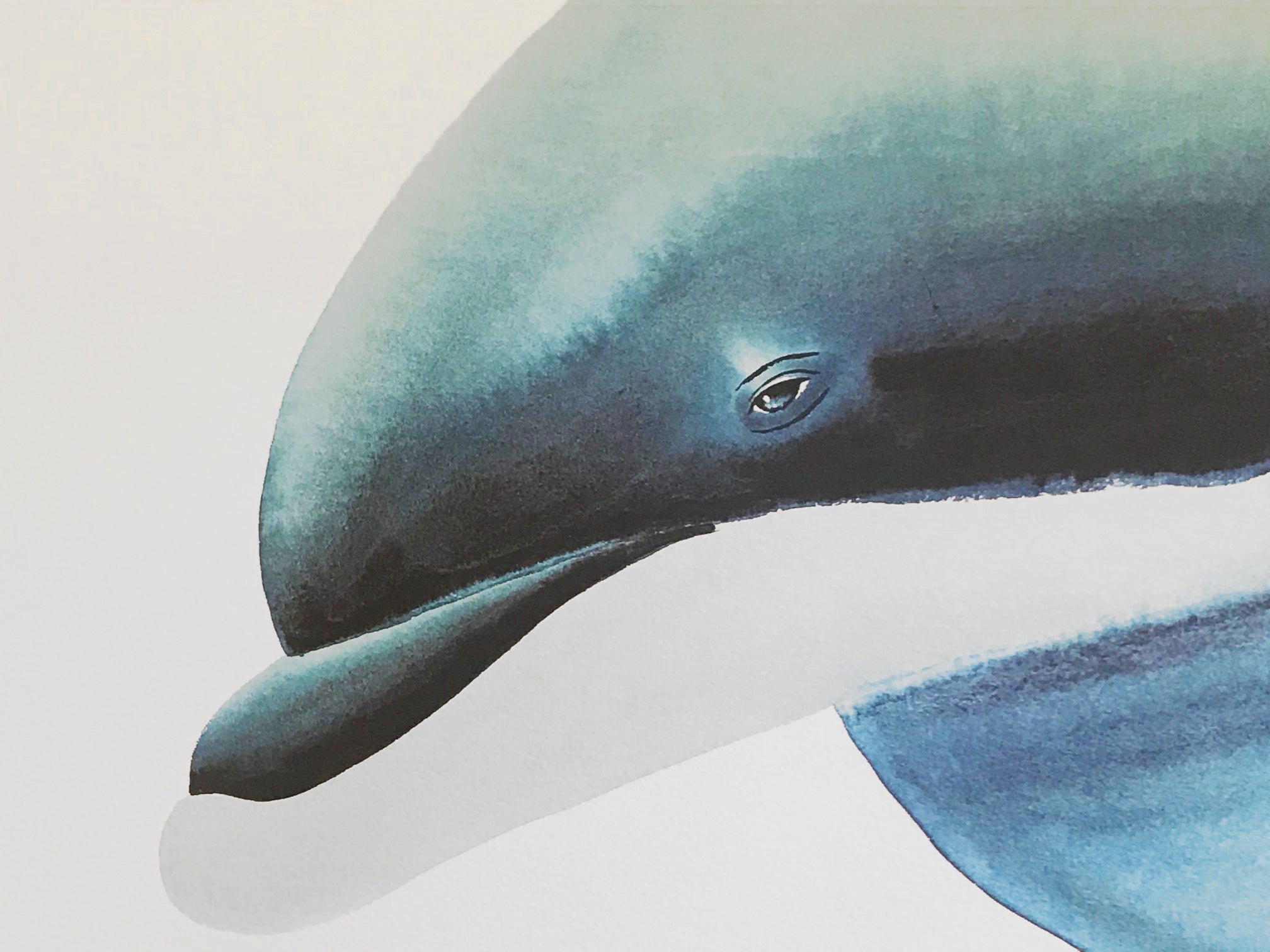 Who Invited These Guys Wyland Tracy Taylor Lithograph Print Both Artists Hand Signed and Numbered