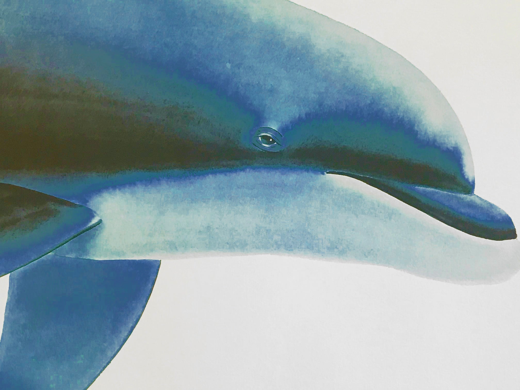 Who Invited These Guys Wyland Tracy Taylor Lithograph Print Both Artists Hand Signed and Numbered
