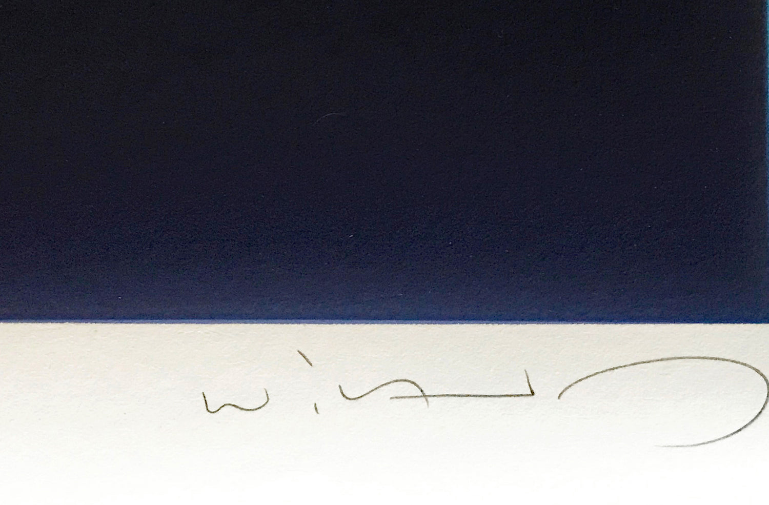 Ocean Born Wyland Serigraph Print Artist Hand Signed and Numbered