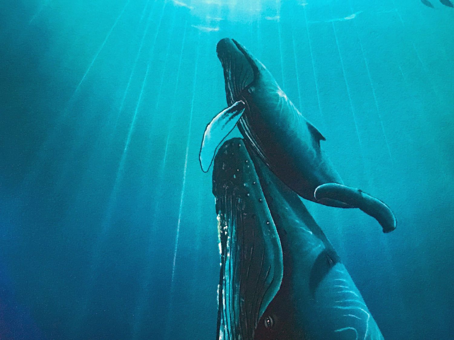 Ocean Born Wyland Serigraph Print Artist Hand Signed and Numbered